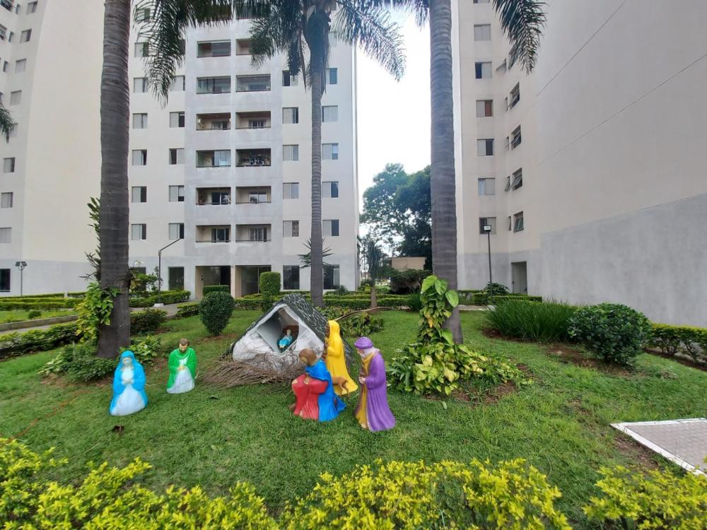 Apartamento - Locação, JD Wilson, Osasco, SP