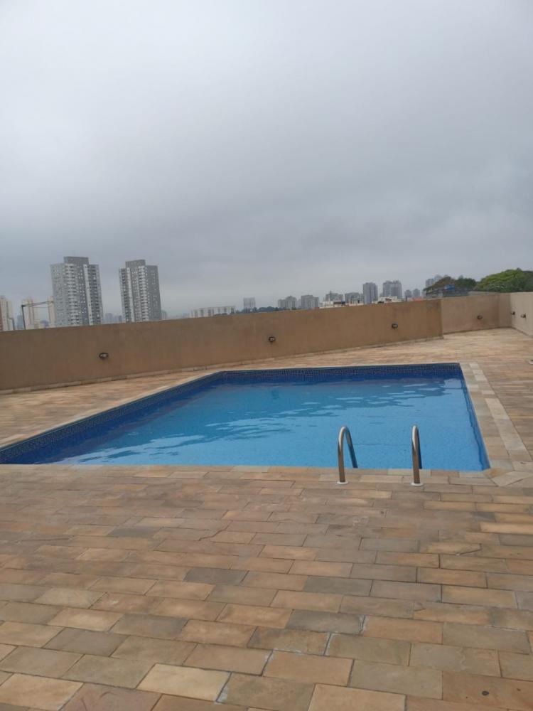 Apartamento - Locação, novo osasco, osasco, SP