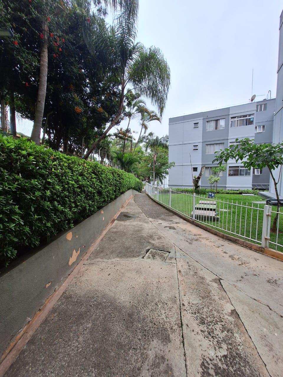 ALUGA-SE EXCELENTE APT  TÉRREO 2 DORMITÓRIOS COM 60 METROS² NO JD PINHEIROS EM PIRITUBA - SP.  LOCALIZAÇÃO PREVELIGIADA EM PARTE NOBRE DE PIRITUBA, PX AVENIDA ANASTACIO,  SUPERMERCADO CARREFOUR, FARMÁCIAS, CORREIOS, ACADEMIAS, COLÉGIOS, ESTAÇÃO DE TREM E TERMINAL DE ÓNIBUS ( TERMINAL PIRITUBA).   