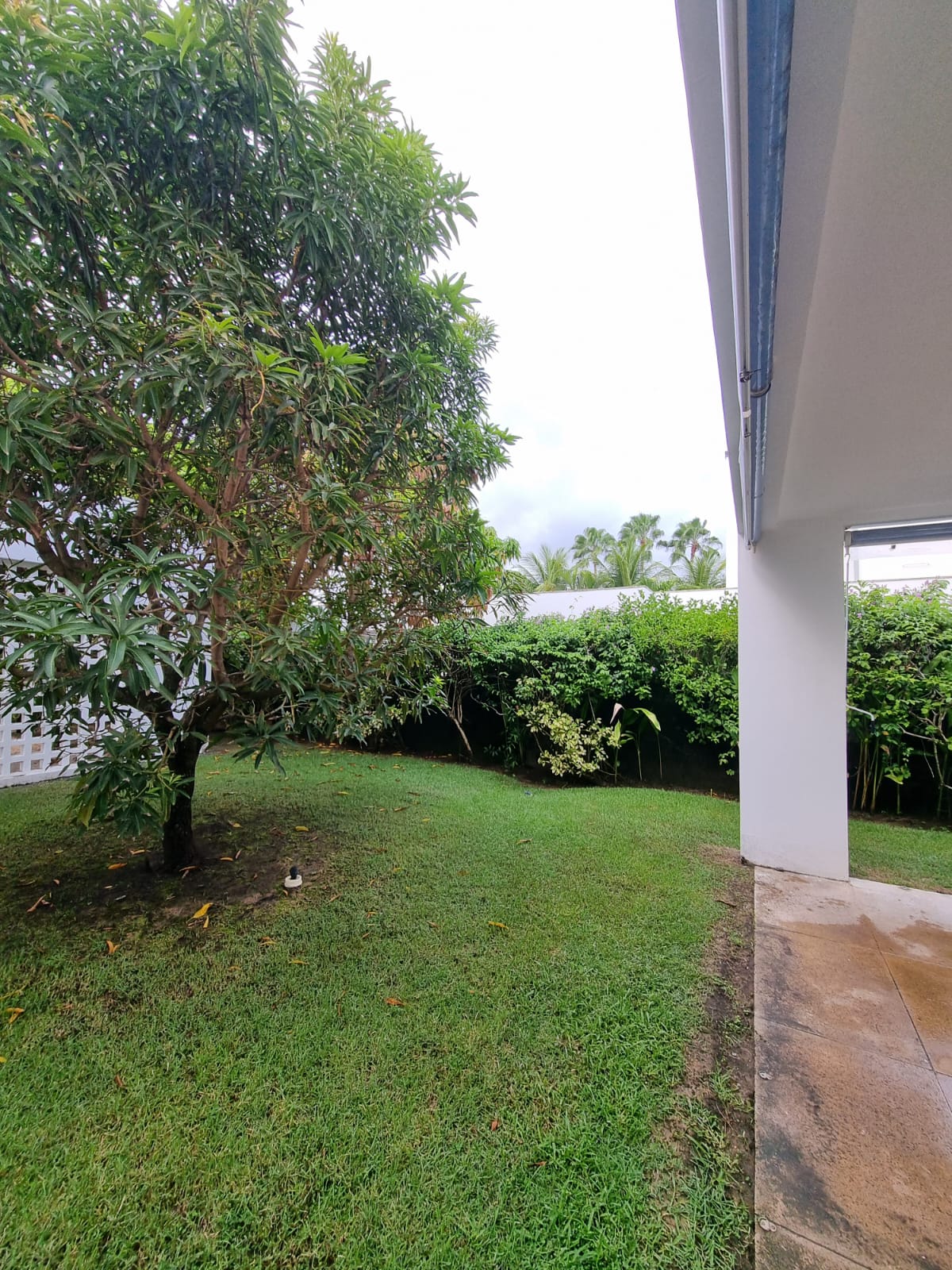 Casa 550 m² - Mobiliada - Piscina privativa - À Venda ou Locação - Paiva