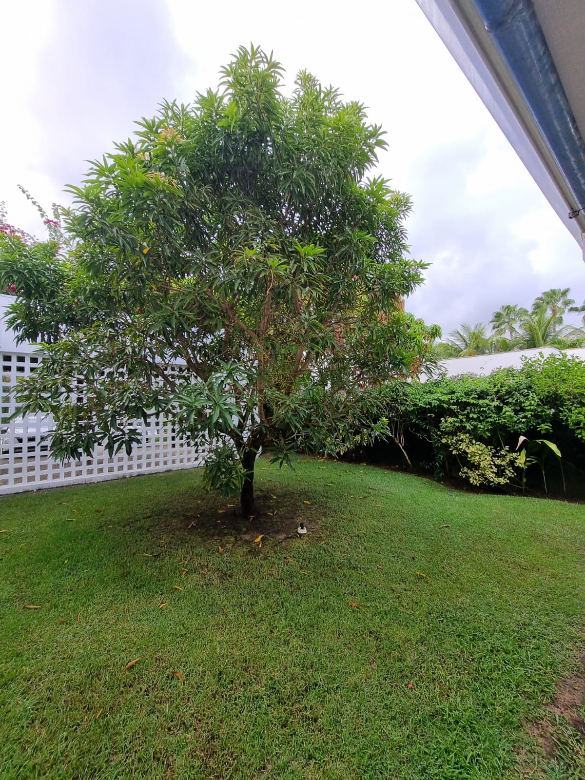 Casa 550 m² - Mobiliada - Piscina privativa - À Venda ou Locação - Paiva