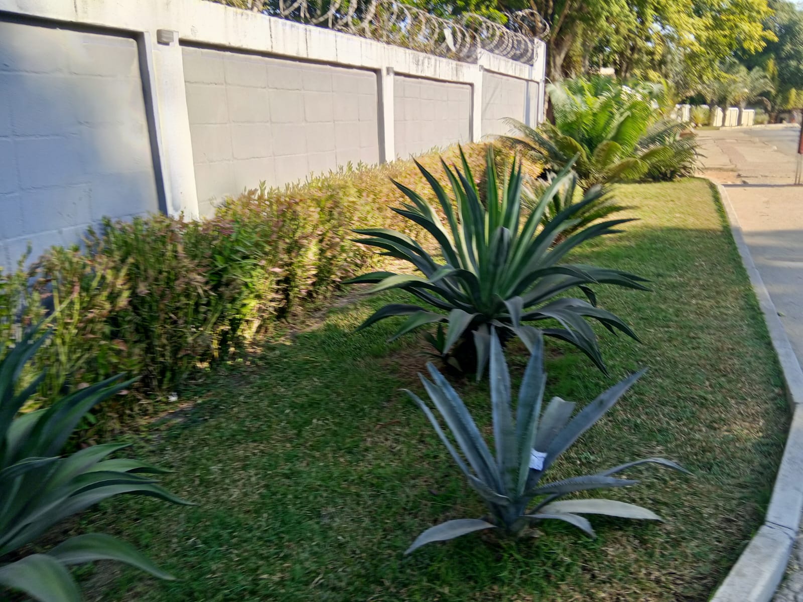 VENDO APARTAMENTO 02 QTOS. COM VAGA, NO CONDOMÍNIO RESIDENCIAL AMETISTA. EM JESUÍTAS. 