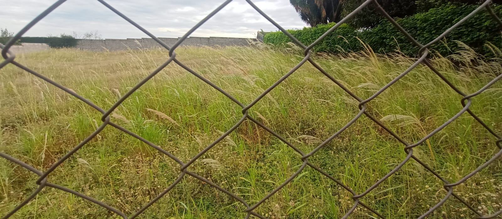 Magnífico Lote a Venda em Condomínio de Itupeva