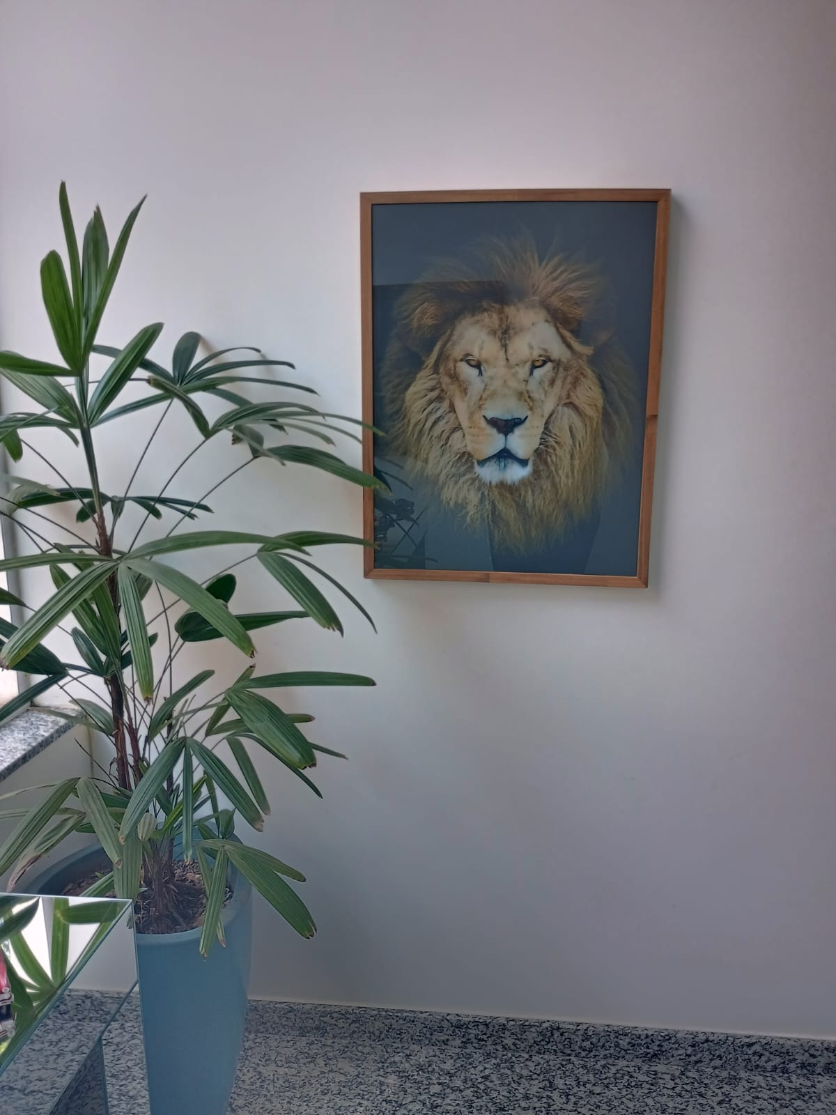 Sobrado 3 dormitórios e Piscina a Venda no Condomínio Horizonte Azul 2