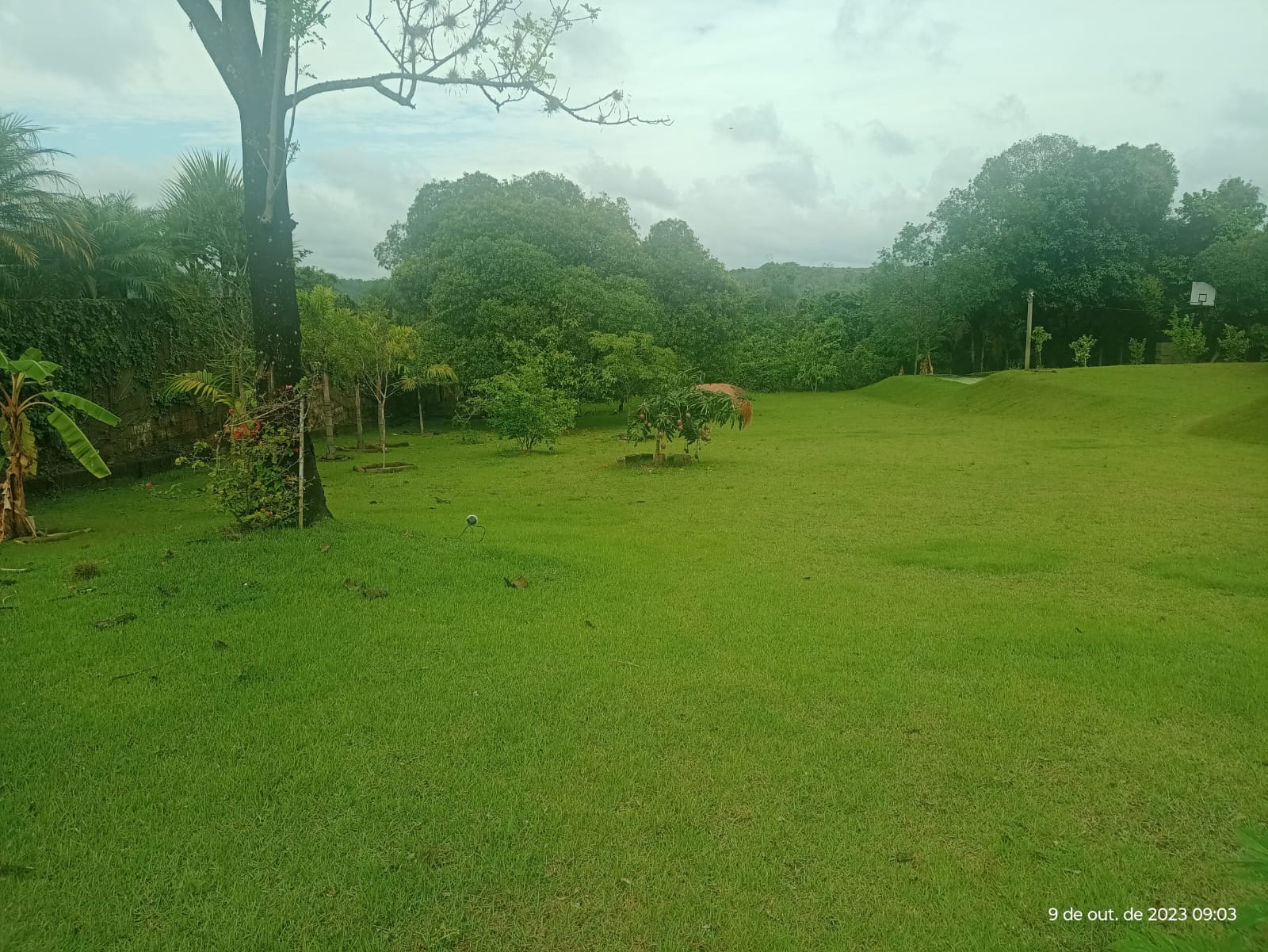 Excelente Lote a Venda no Condomínio Horizonte Azul 2