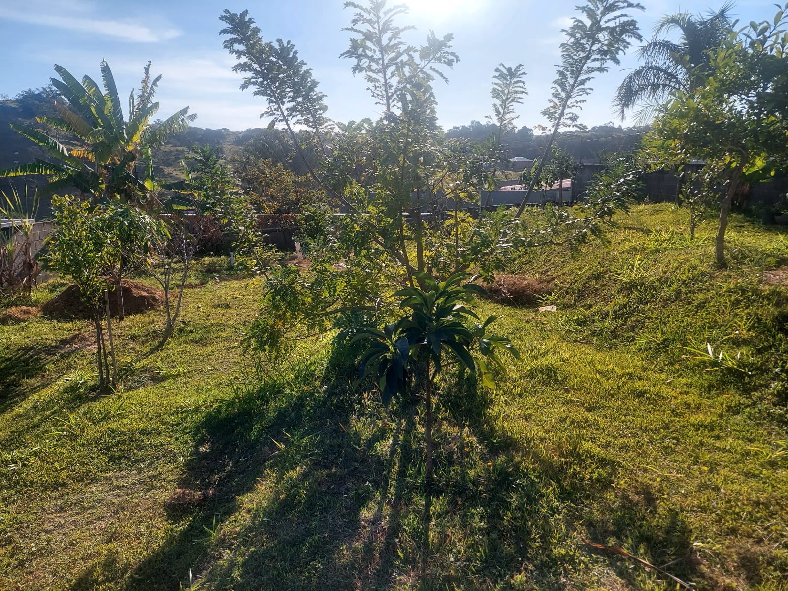 Casa Térrea a Venda no Condomínio Montes Claros em Itupeva-SP