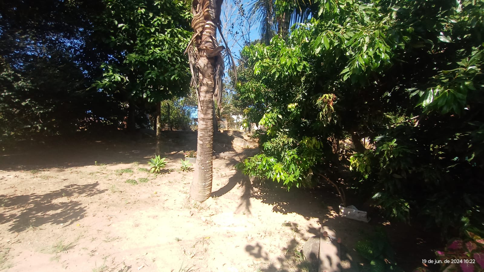Chácara com 7 dormitórios a Venda em Condomínio de Itupeva