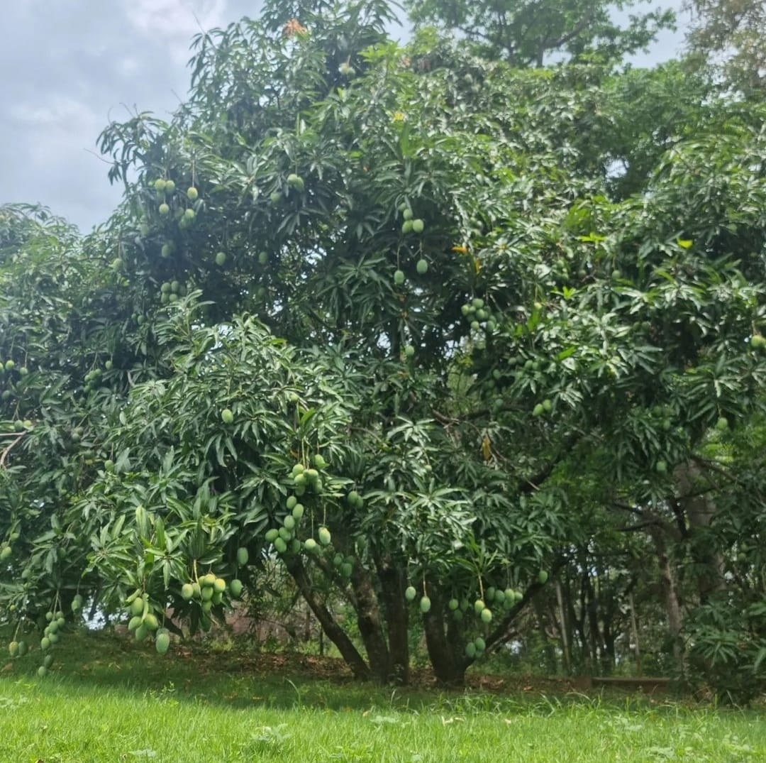 Casa de 1100 m² de Área Construída com 8 dormitórios a Venda em Condomínio de Indaiatuba 