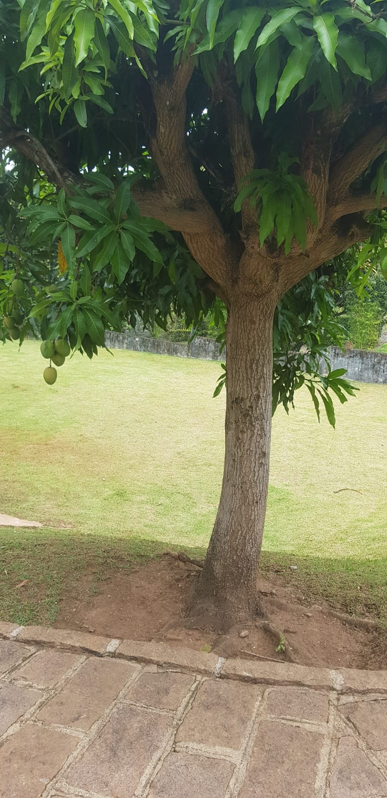 Casa a venda no Condomínio Horizonte Azul 1 em Itupeva - SP para Investimento