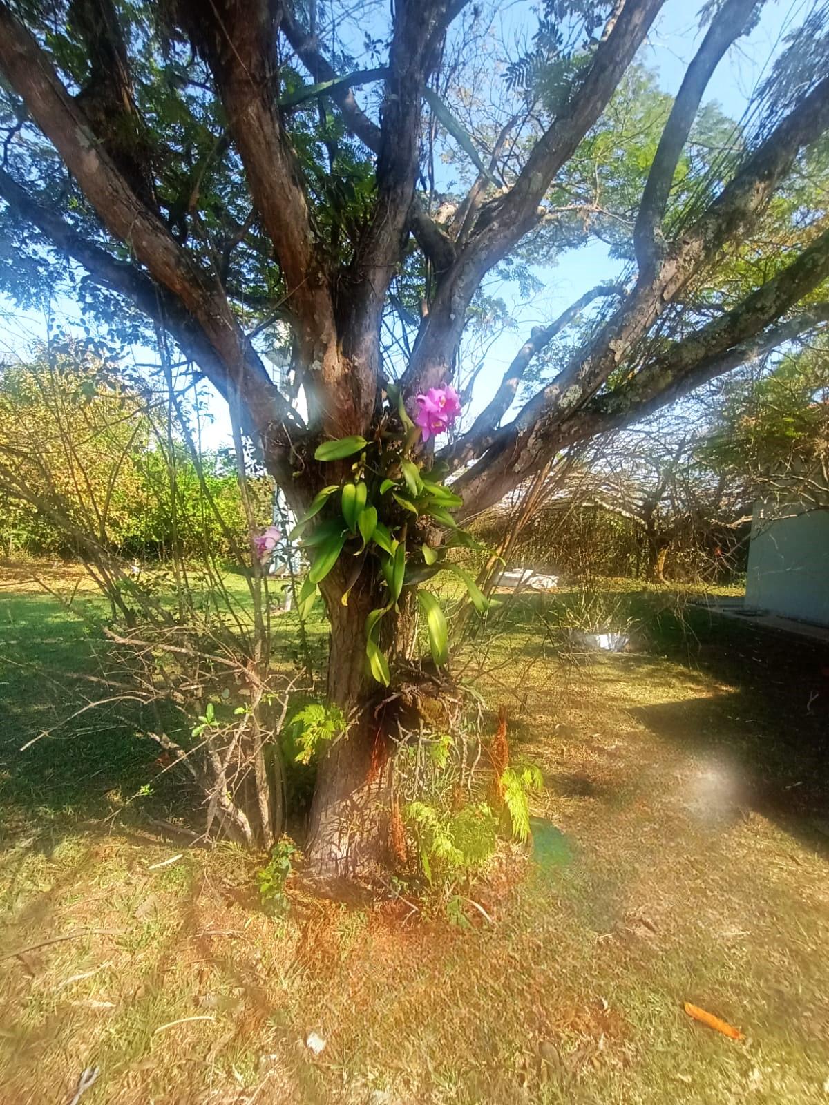 Casa Térrea a Venda no Condomínio Recanto das Flores em Indaiatuba 