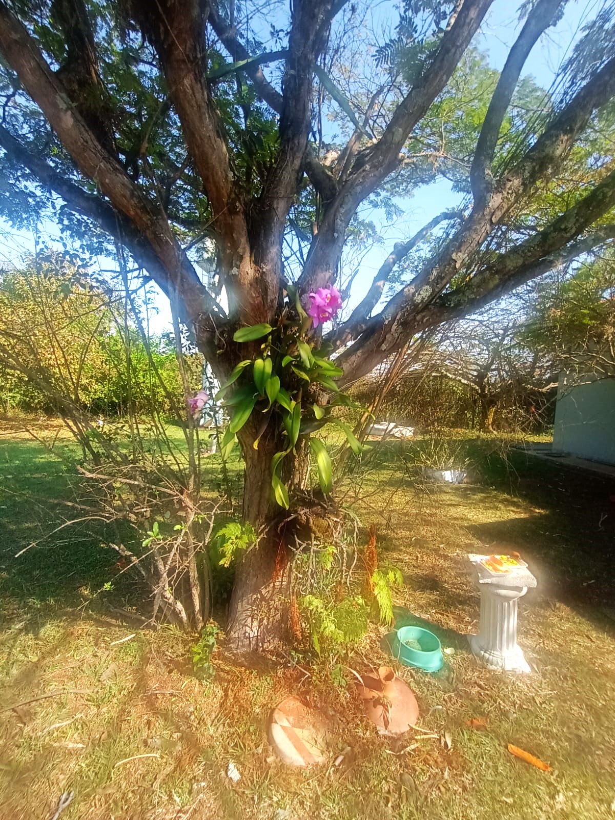 Casa Térrea a Venda no Condomínio Recanto das Flores em Indaiatuba 