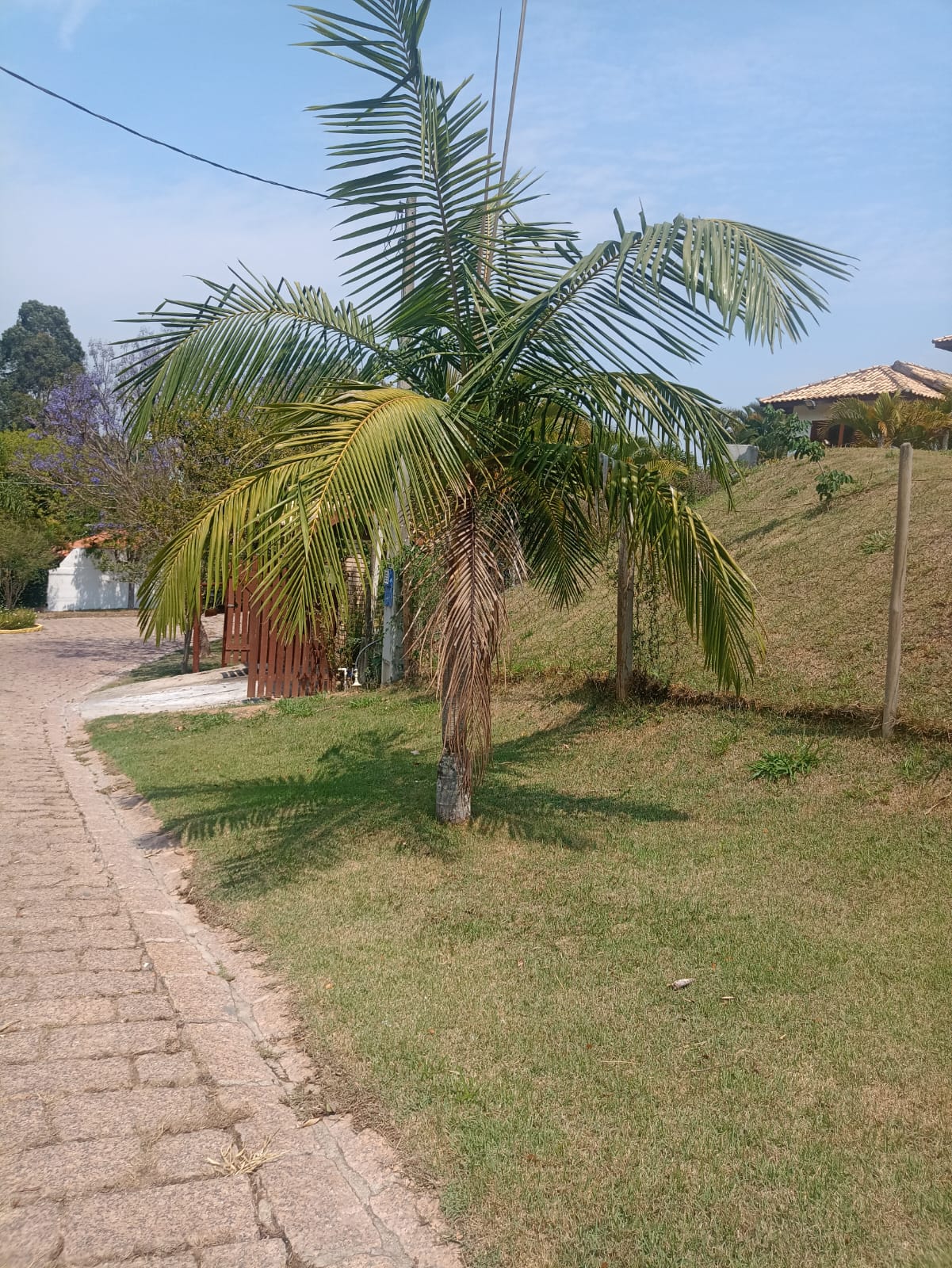 Terreno a Venda no Condomínio São José do Ribeirão - Itupeva-SP