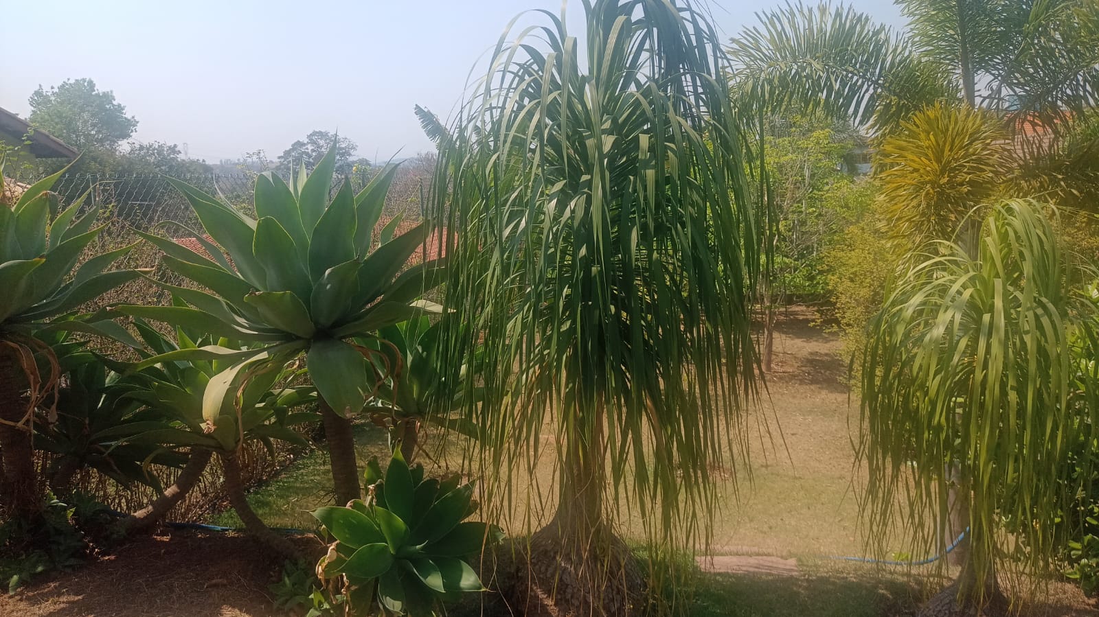 Sobrado com 3 Suítes, Piscina e Espaço Gourmet a Venda no Horizonte Azul 1 
