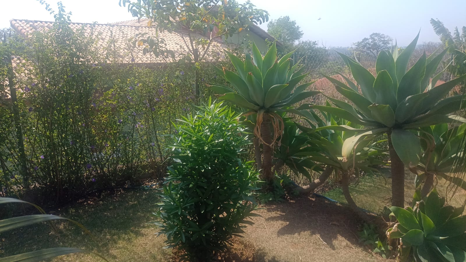Sobrado com 3 Suítes, Piscina e Espaço Gourmet a Venda no Horizonte Azul 1 