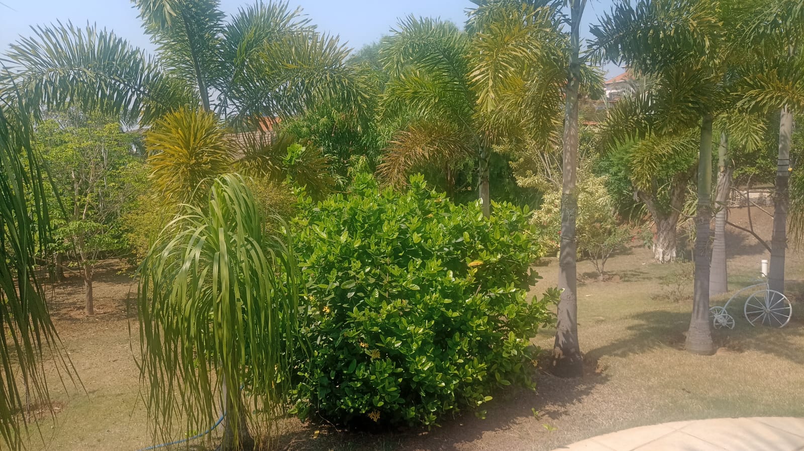 Sobrado com 3 Suítes, Piscina e Espaço Gourmet a Venda no Horizonte Azul 1 