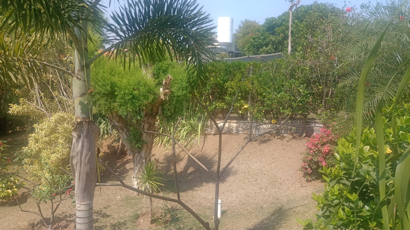 Sobrado com 3 Suítes, Piscina e Espaço Gourmet a Venda no Horizonte Azul 1 