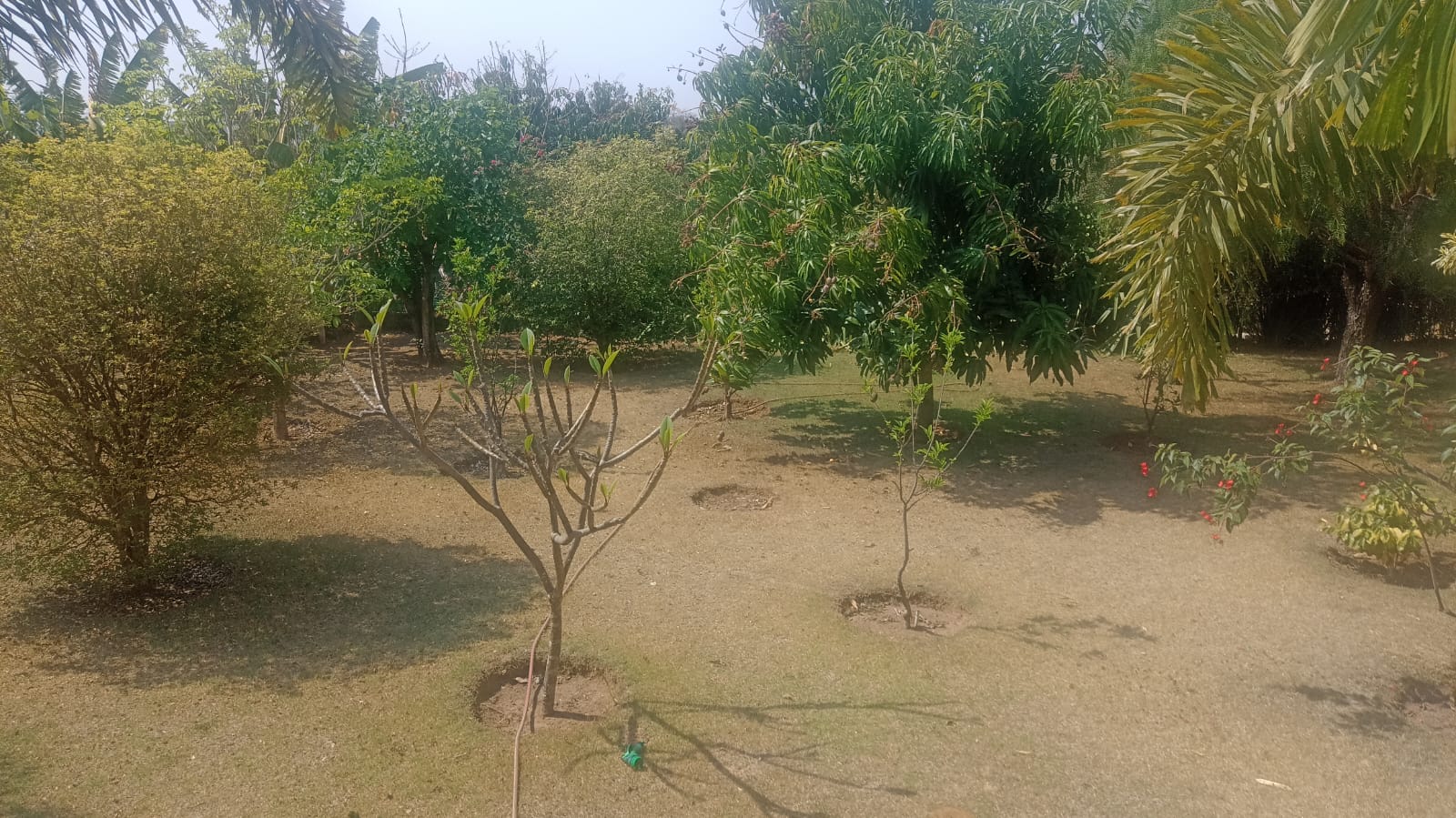 Sobrado com 3 Suítes, Piscina e Espaço Gourmet a Venda no Horizonte Azul 1 