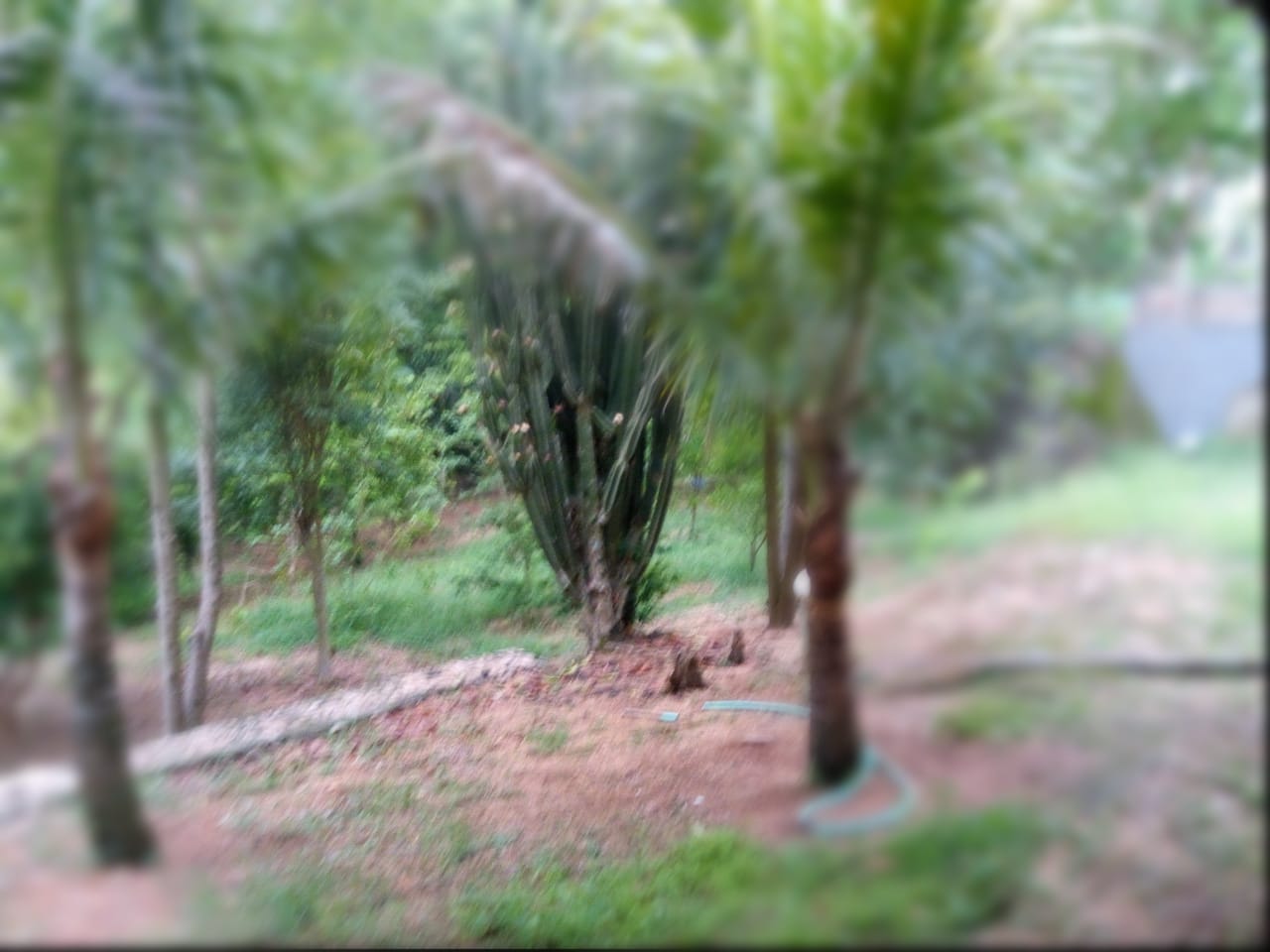 Casa de Campo com 3 dormitórios a venda no Condomínio Jardim do Ribeirão 2 em Itupeva-SP 