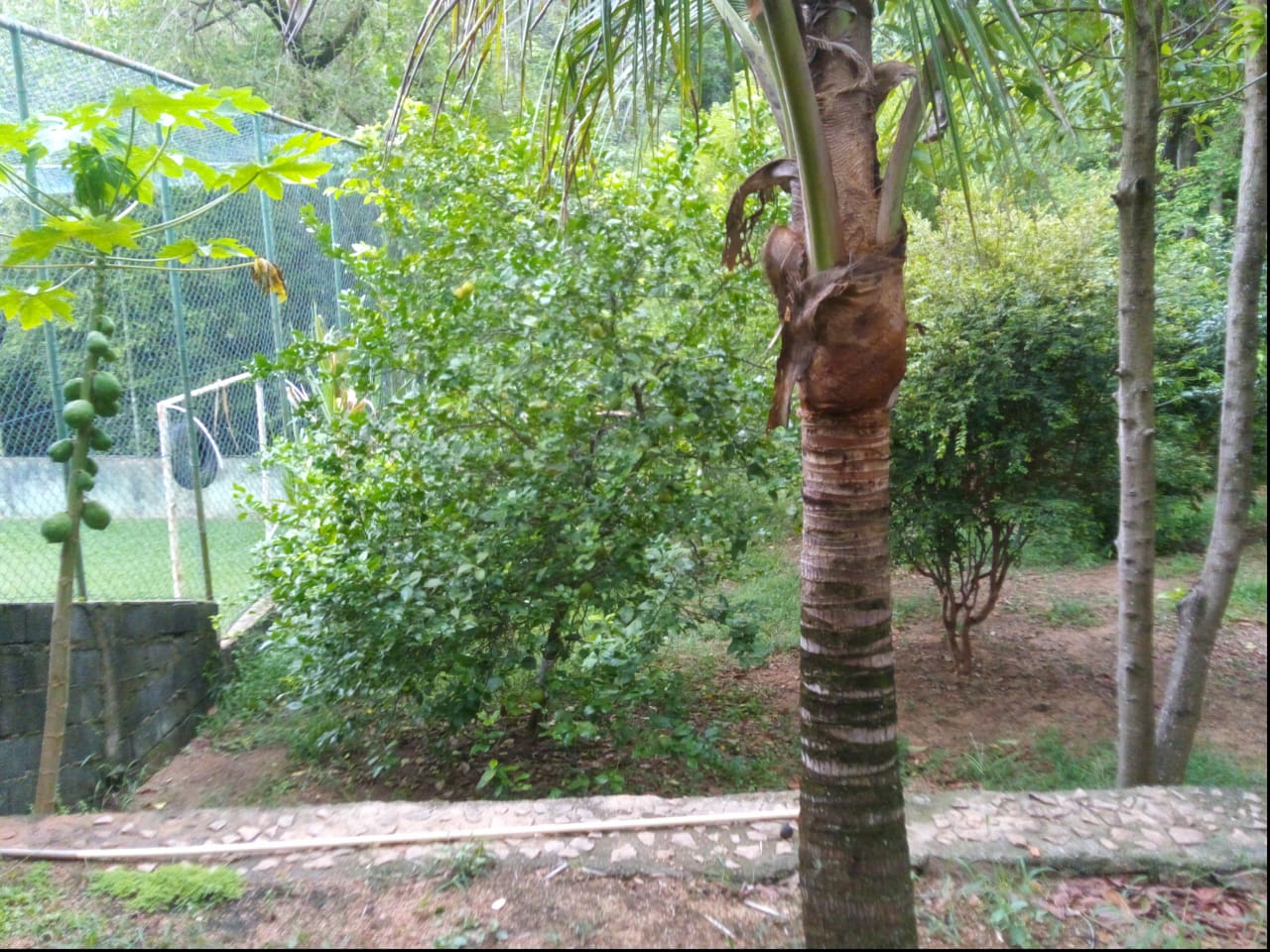 Casa de Campo com 3 dormitórios a venda no Condomínio Jardim do Ribeirão 2 em Itupeva-SP 