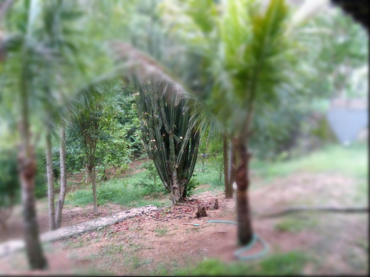 Casa de Campo com 3 dormitórios a venda no Condomínio Jardim do Ribeirão 2 em Itupeva-SP 