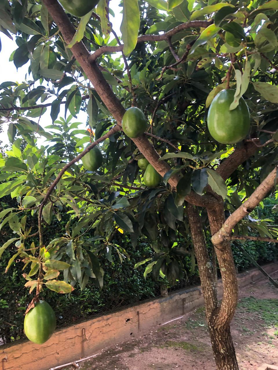 Casa Térrea a Venda com 3 dormitórios no Horizonte Azul 1 - Itupeva-SP 