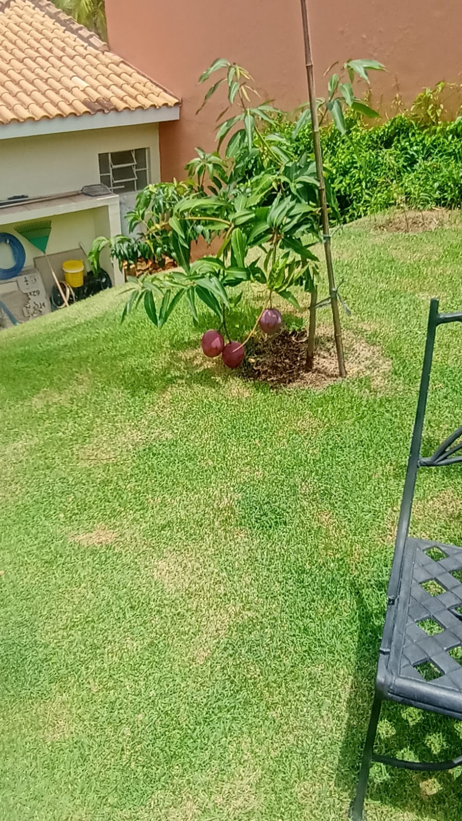 Casa Térrea com piscina  a Venda no Condomínio São José do Ribeirão em Itupeva-SP