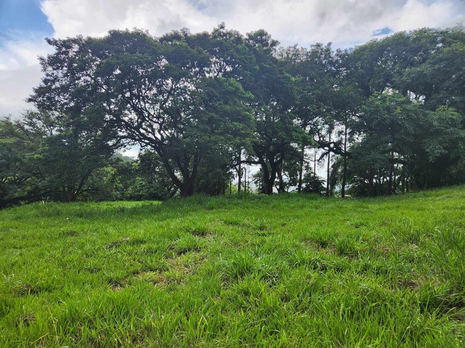 Terreno em condomínio - Venda, Resedas, Itupeva, SP
