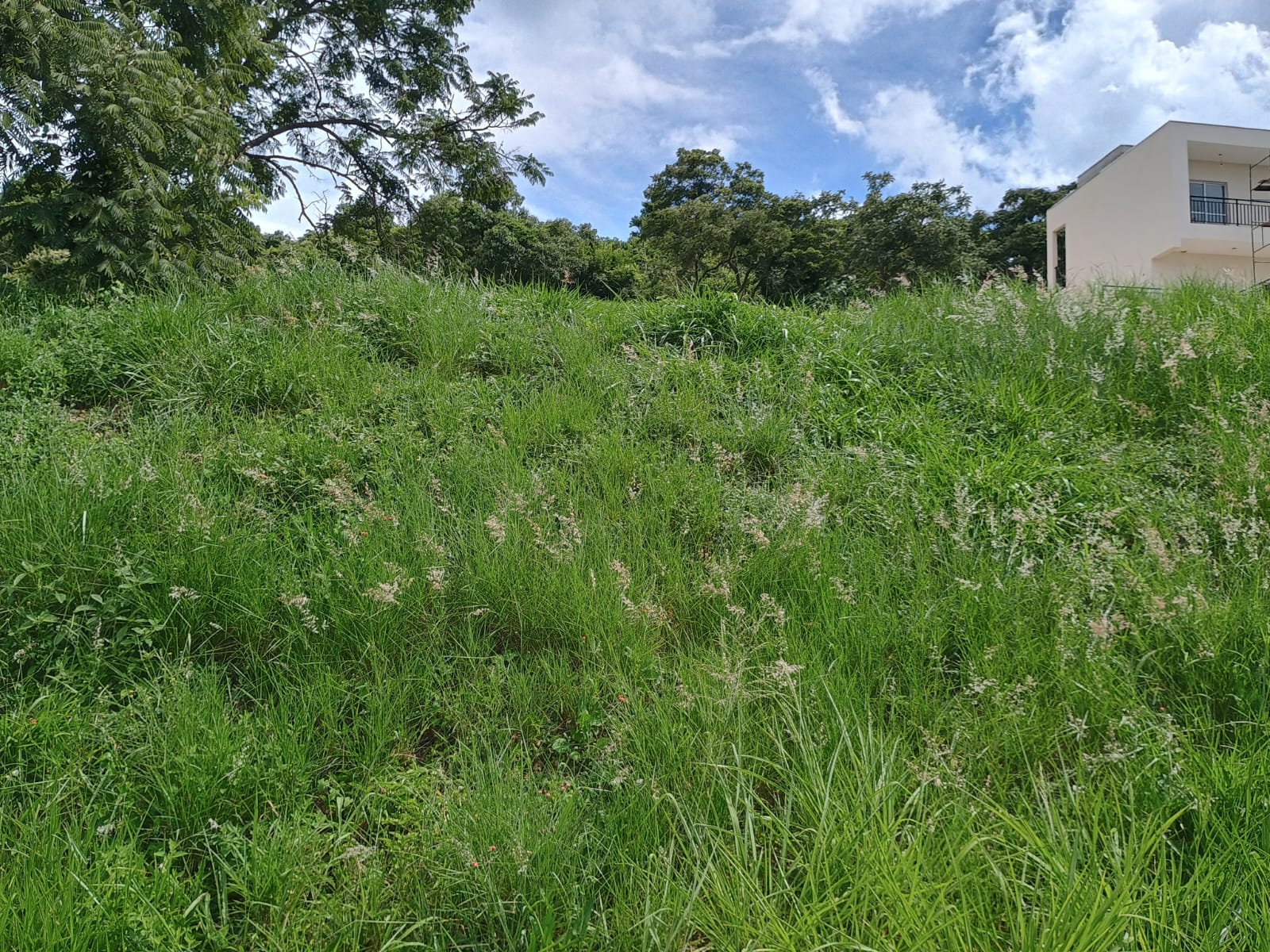 Terreno em condomínio - Venda, Horizonte Azul 2, Itupeva, SP