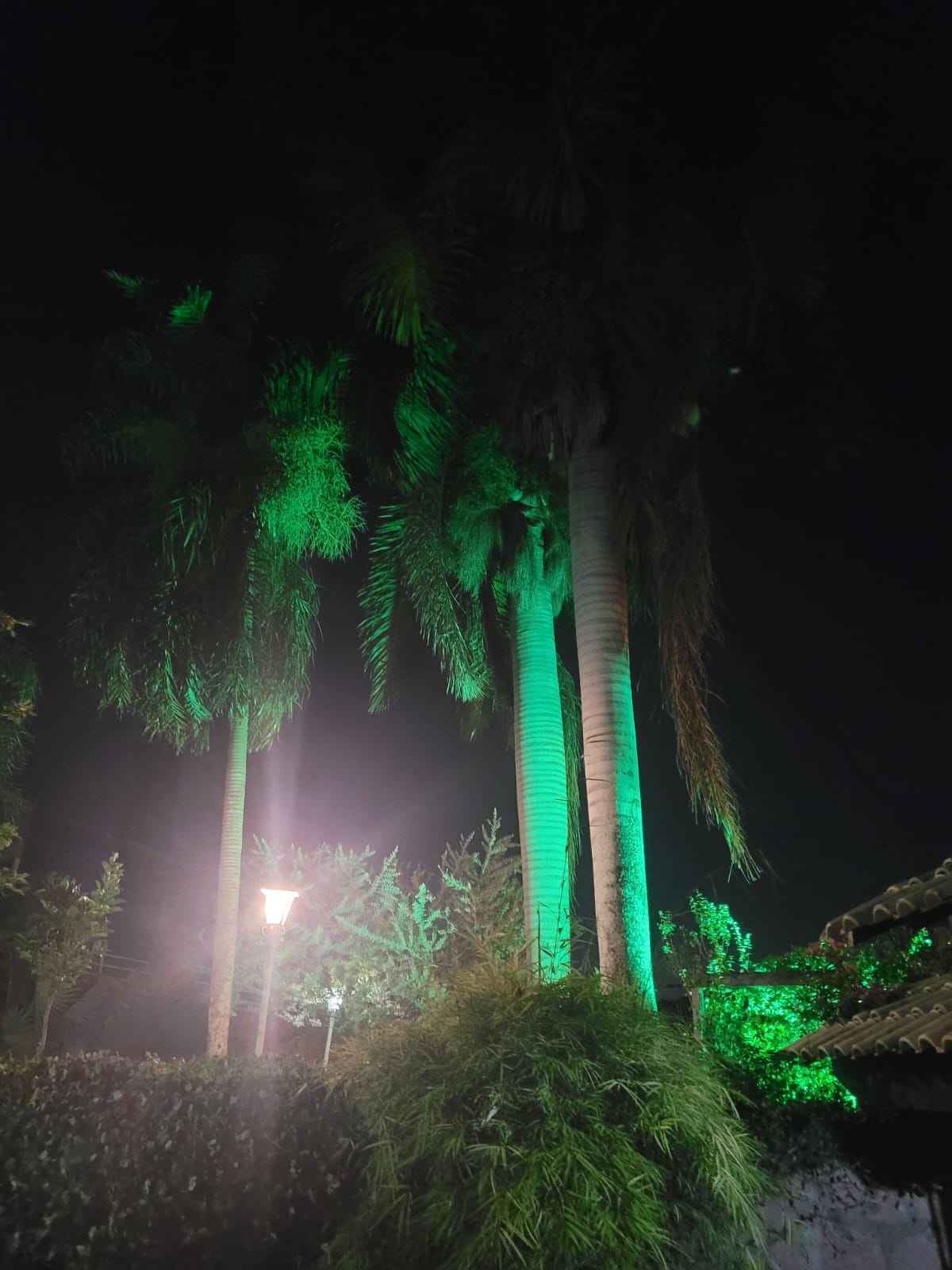 Casa Térrea com 3 dormitórios e Piscina a Venda no Condomínio Jardim do Ribeirão I