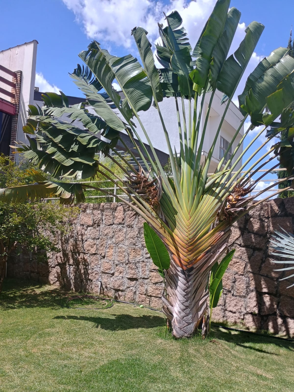 Casa Térrea com 3 dormitórios e Piscina a Venda no Condomínio Jardim do Ribeirão I