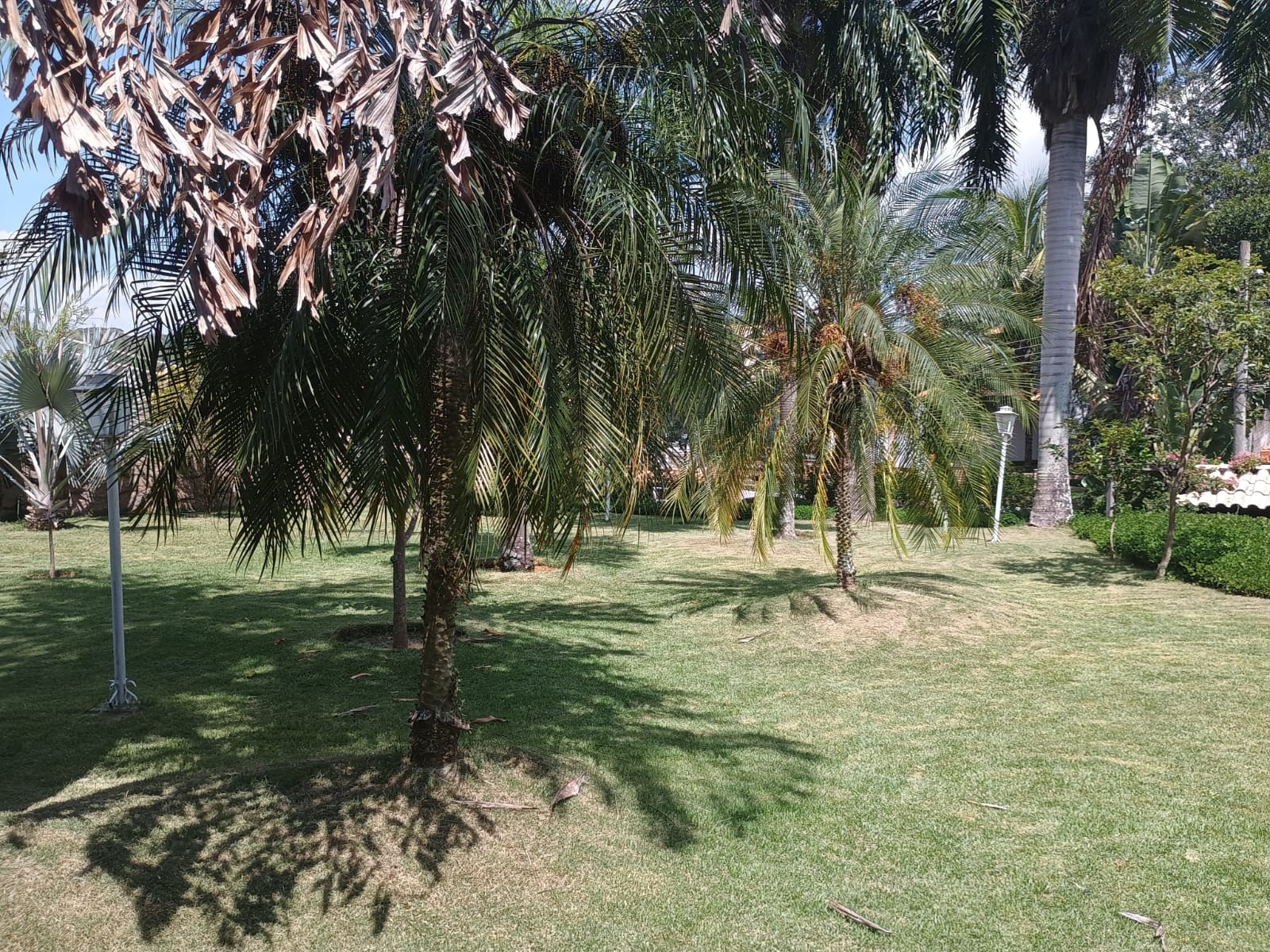 Casa Térrea com 3 dormitórios e Piscina a Venda no Condomínio Jardim do Ribeirão I