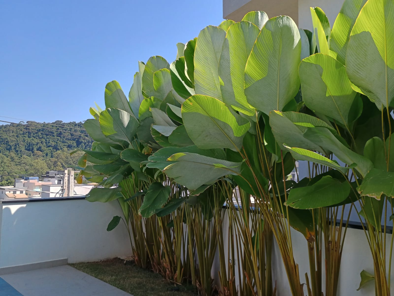 Alto Padrão, Piscina Infinita e Natureza ao Redor – Viva no Ibi Aram II!