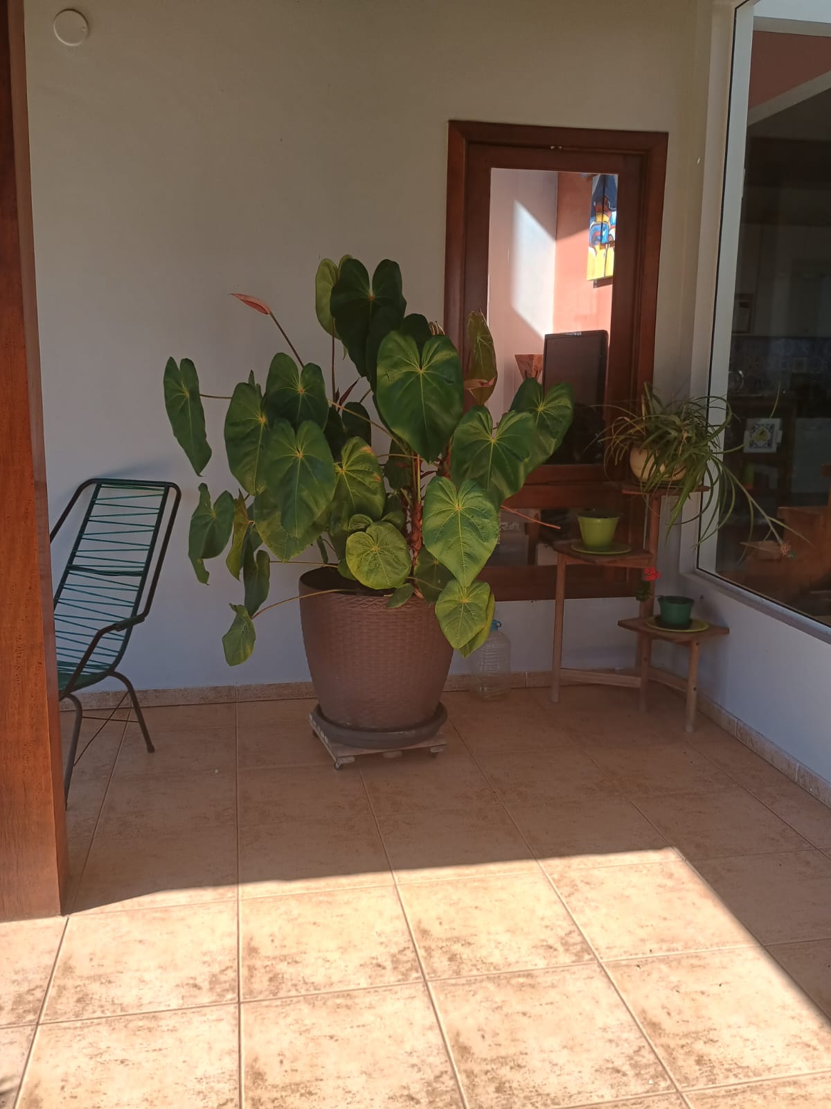 Casa com 3 dormitórios, piscina e espaço gourmet a venda em Itupeva