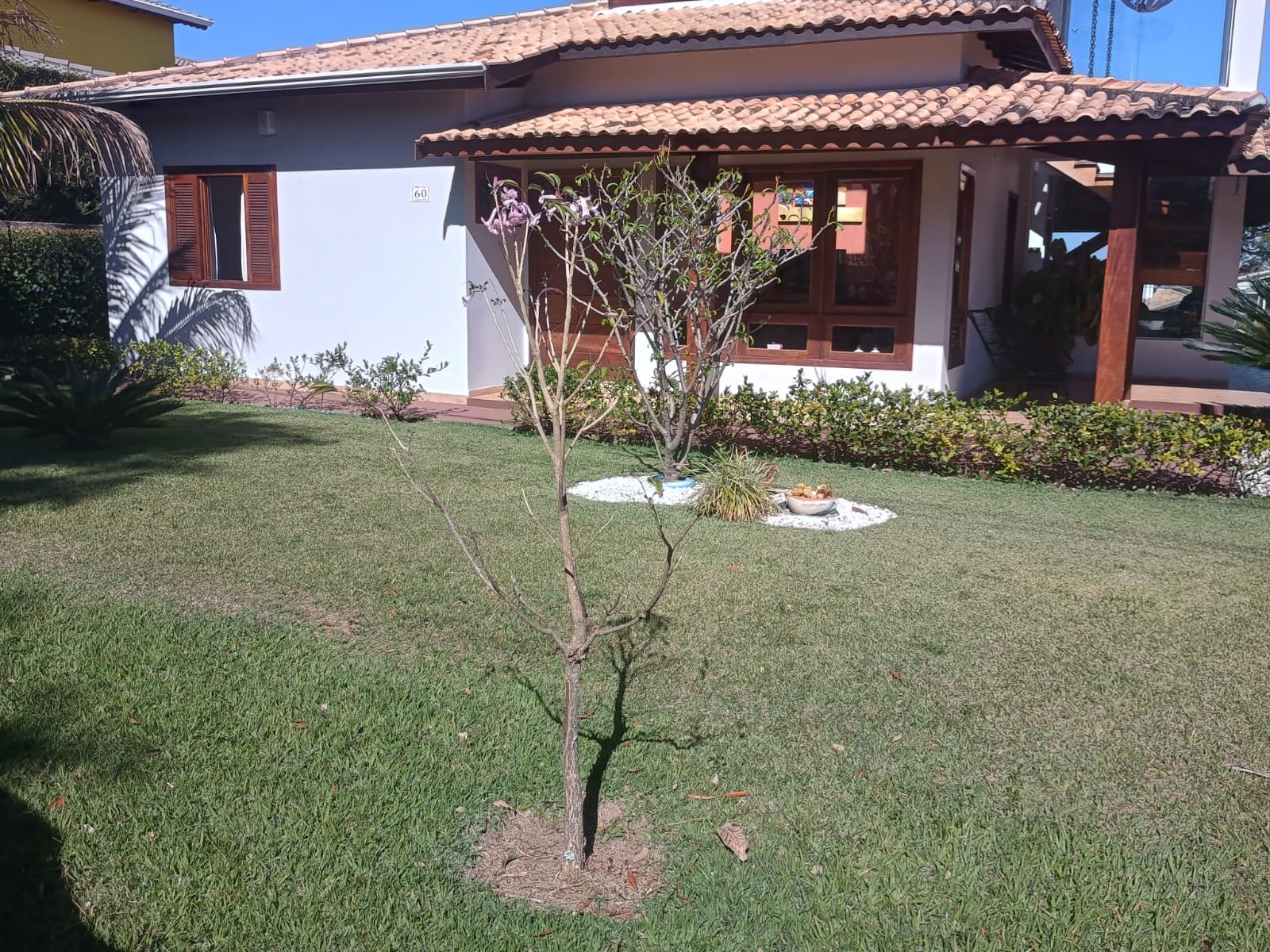 Casa com 3 dormitórios, piscina e espaço gourmet a venda em Itupeva