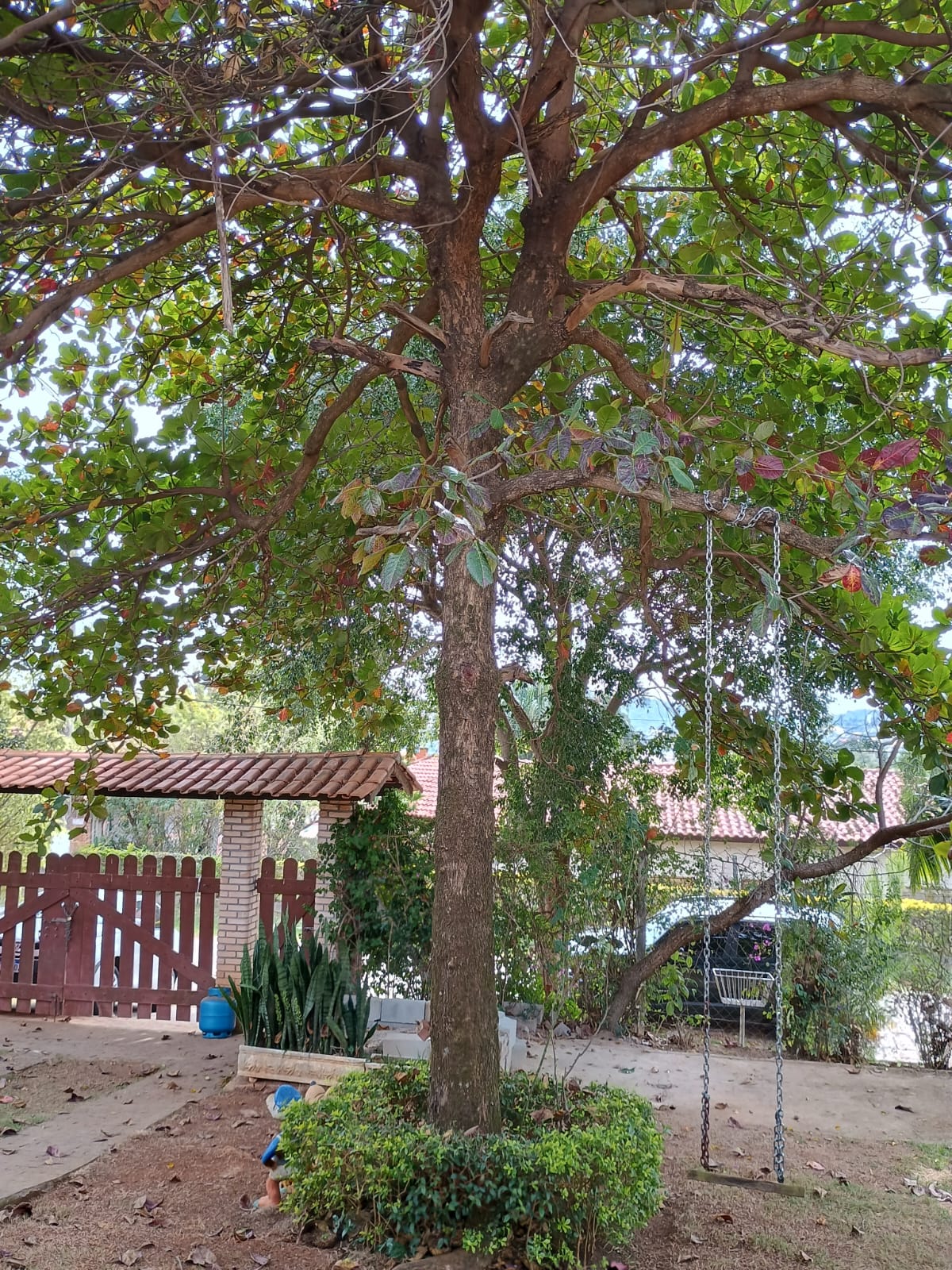 Casa em estilo rústica com piscina no São José do Ribeirão 
