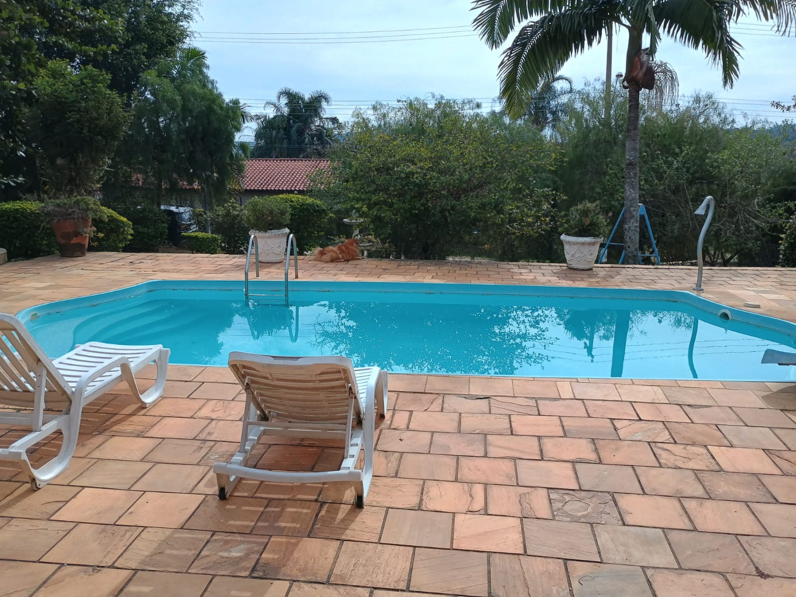 Casa em estilo rústica com piscina no São José do Ribeirão 