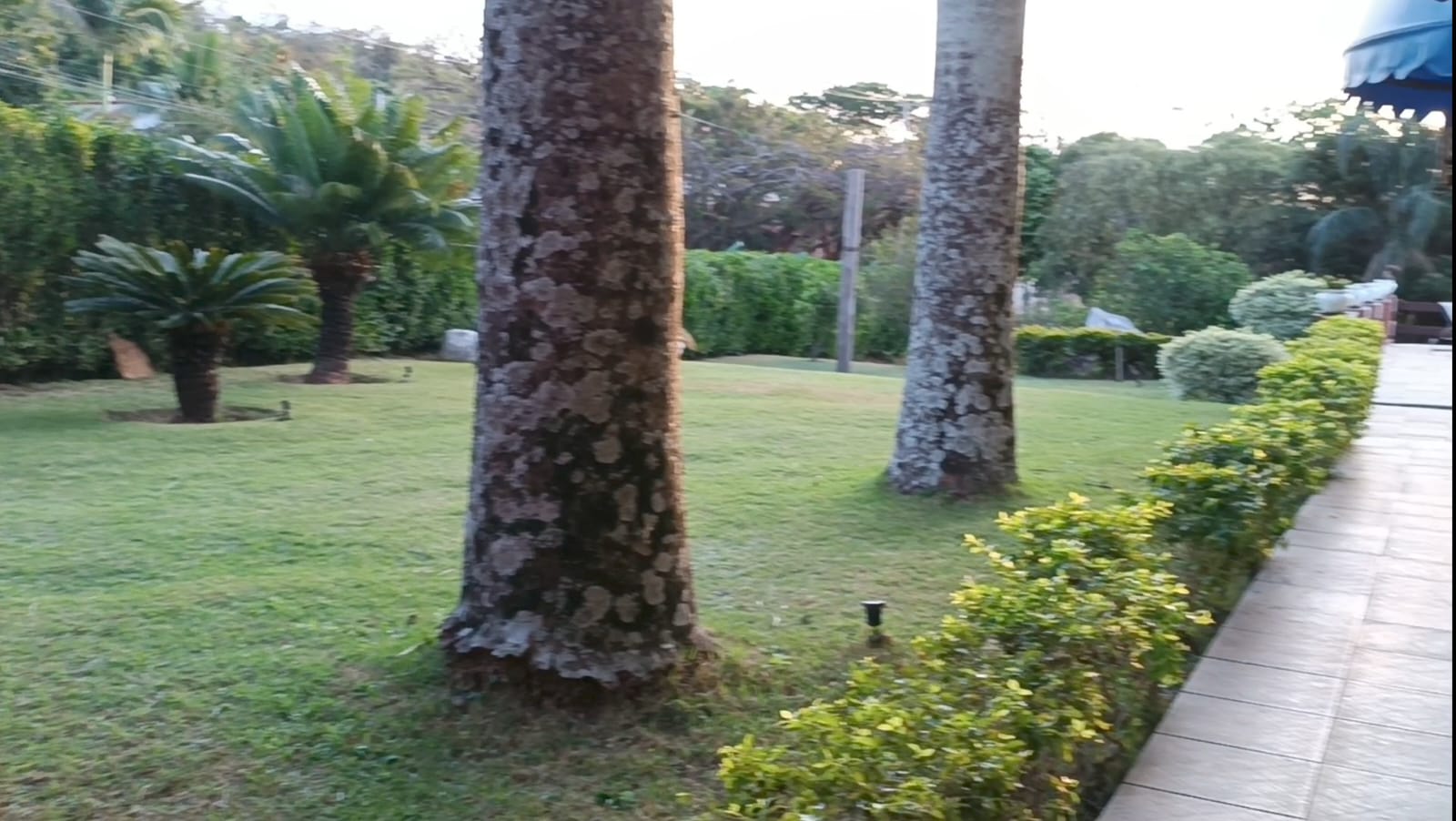 Casa de Campo com 3 dormitórios a Venda no Condomínio Cafezal 6