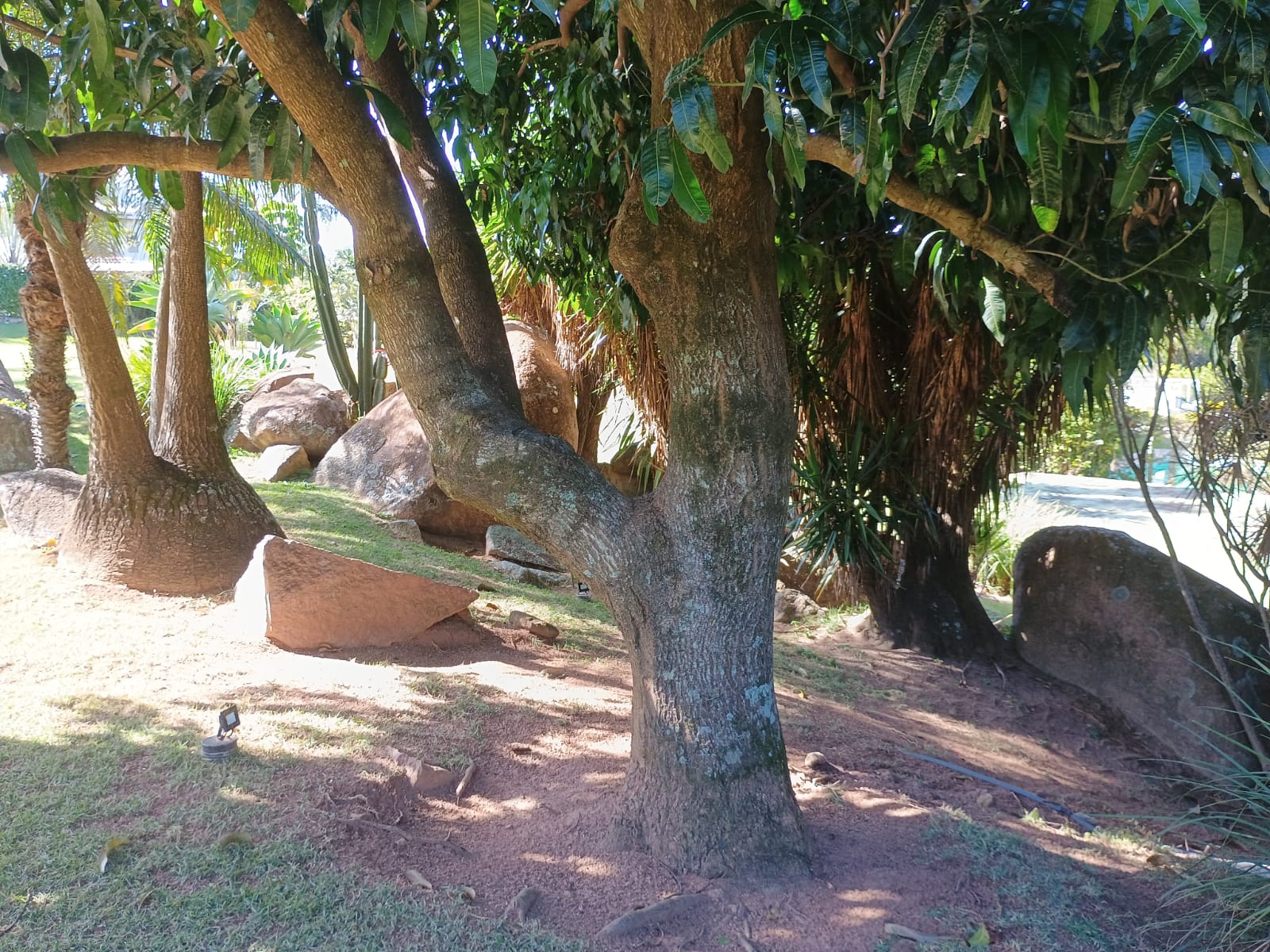 Casa 3 dormitórios e Piscina a Venda no Condomínio Horizonte Azul 1 em Itupeva