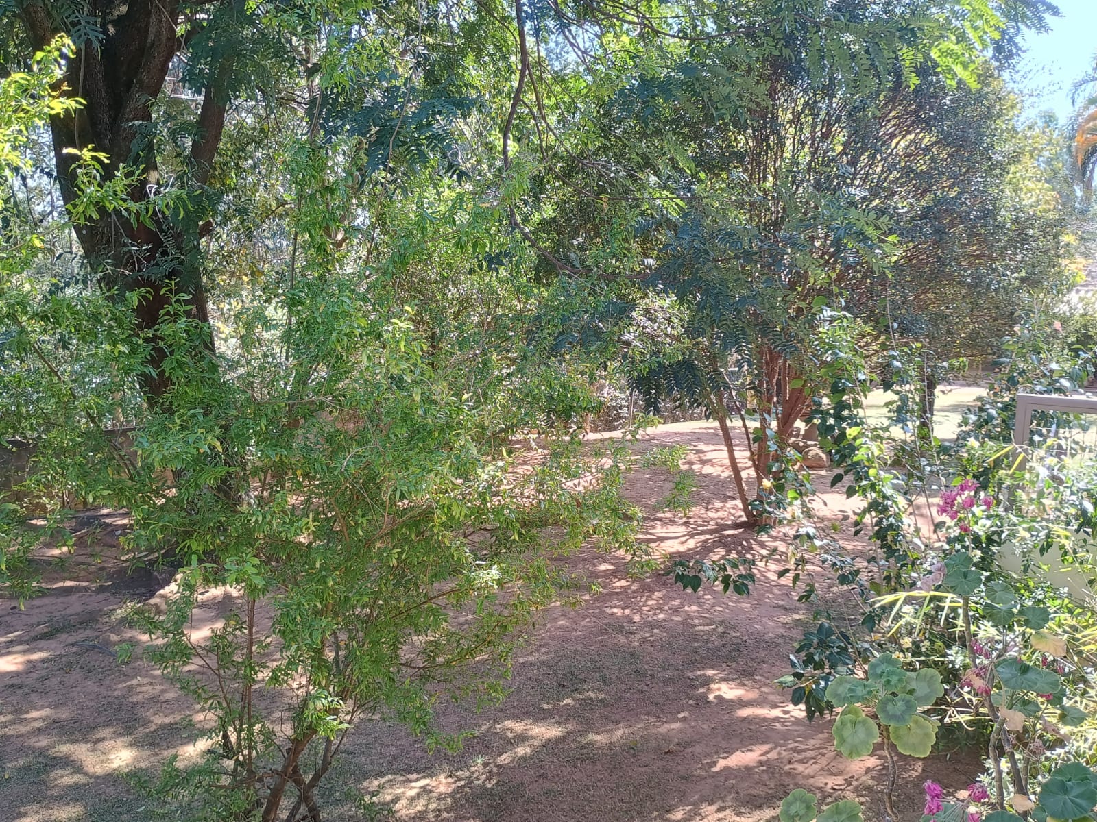 Casa de Alto Padrão a Venda no Condomínio Village Águas de Santa Elisa 