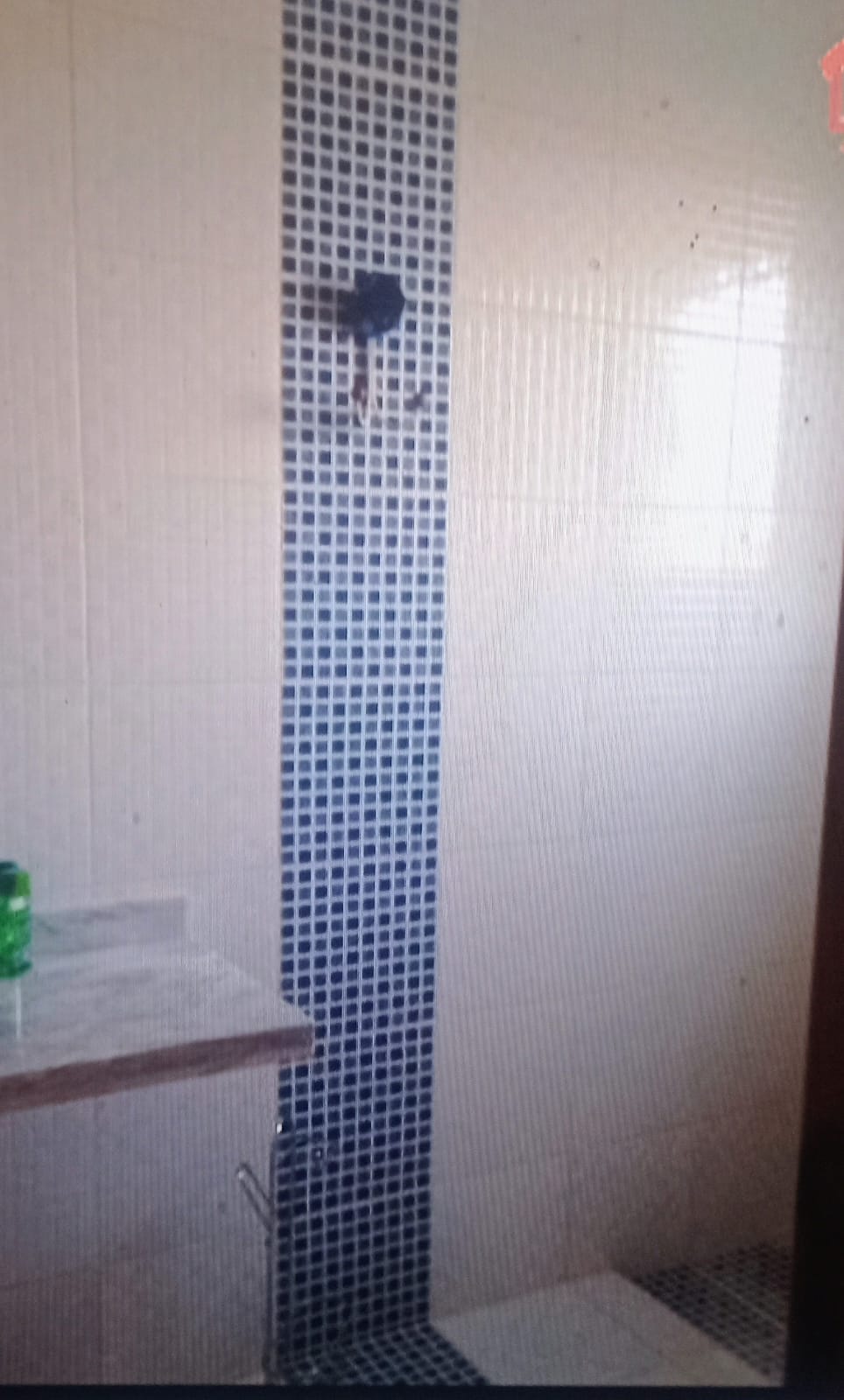 Casa Térrea com 3 suítes a venda no Condomínio Jardim do Ribeirão II