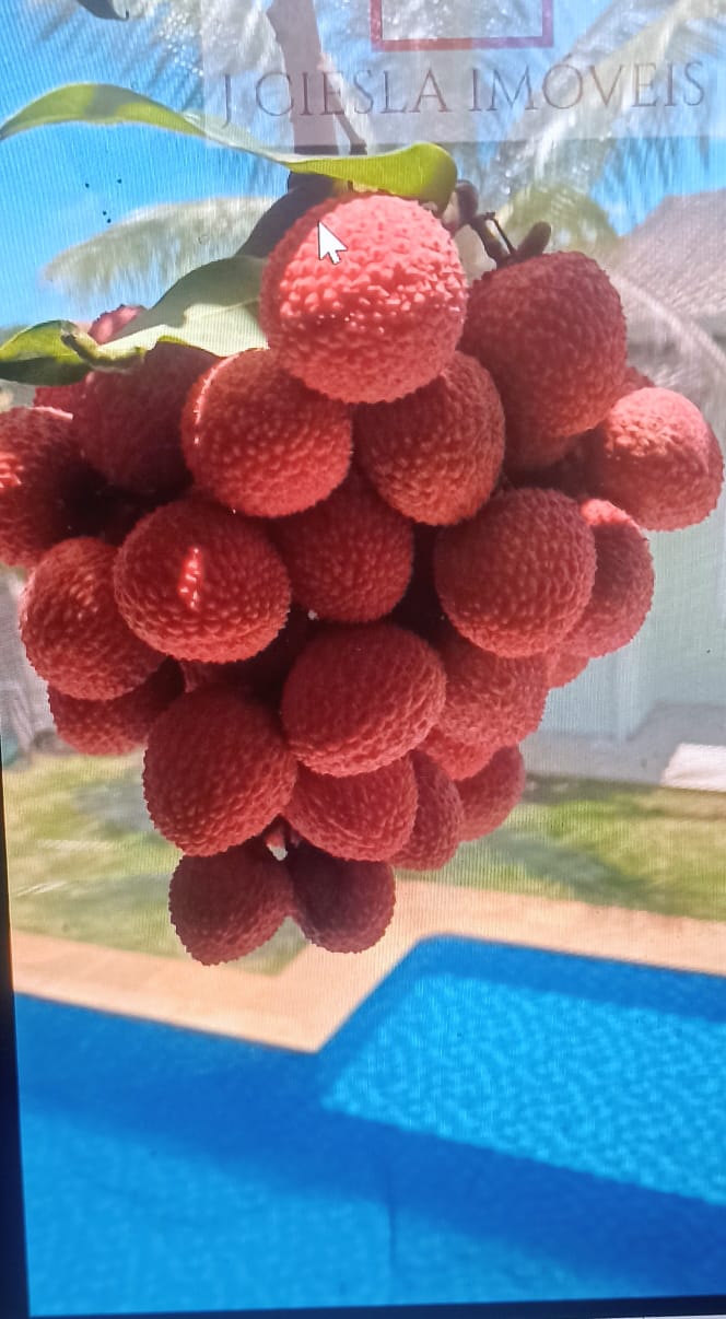 Casa Térrea com 3 suítes a venda no Condomínio Jardim do Ribeirão II