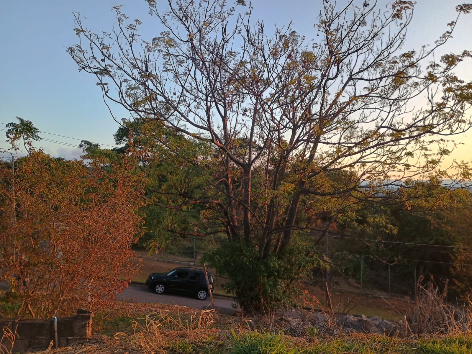 Terreno de 1108 m² a venda no Condomínio Cafezal IV - Itupeva-SP
