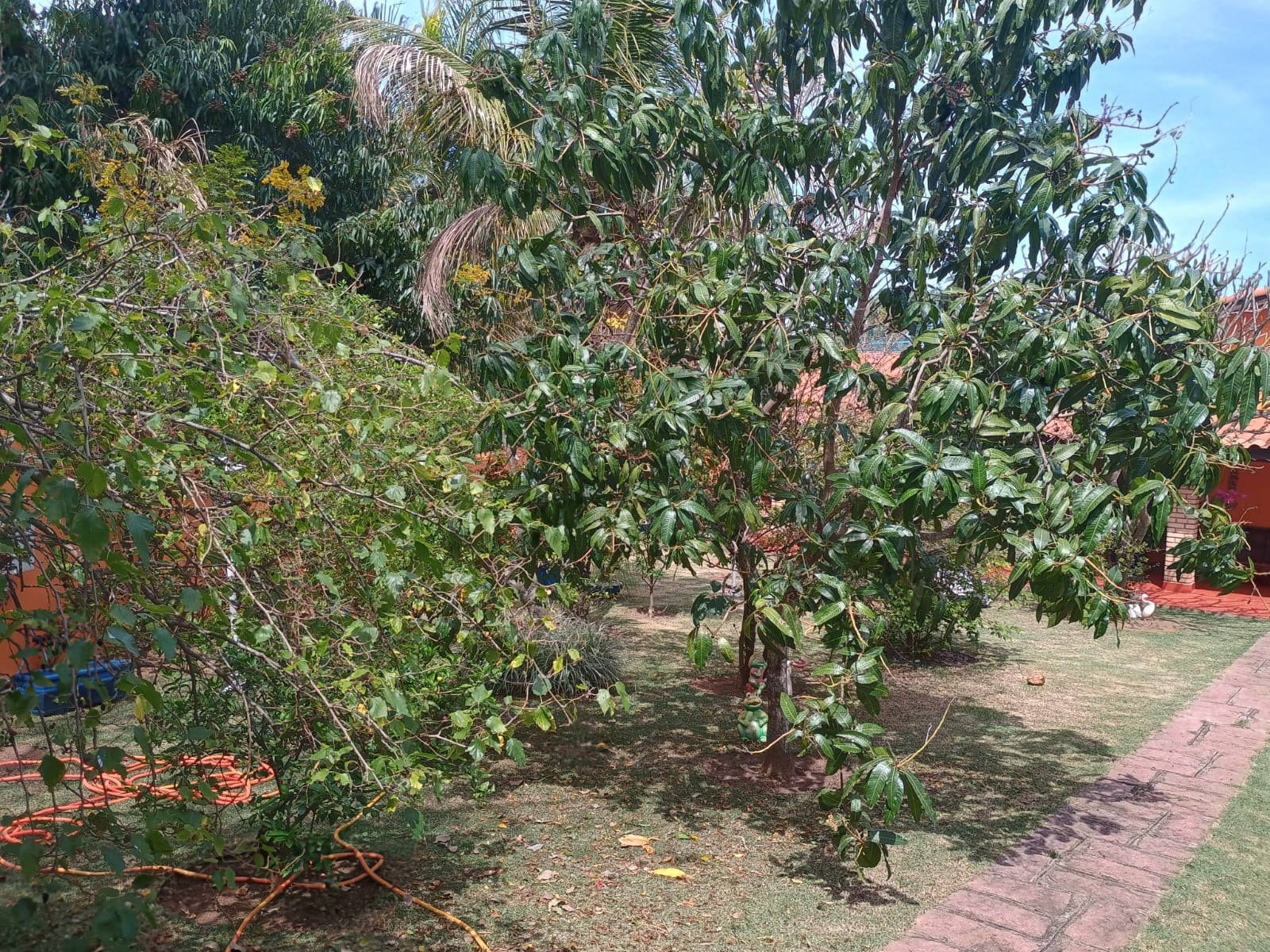 Casa 5 Dormitórios a Venda no Condomínio Horizonte Azul 1