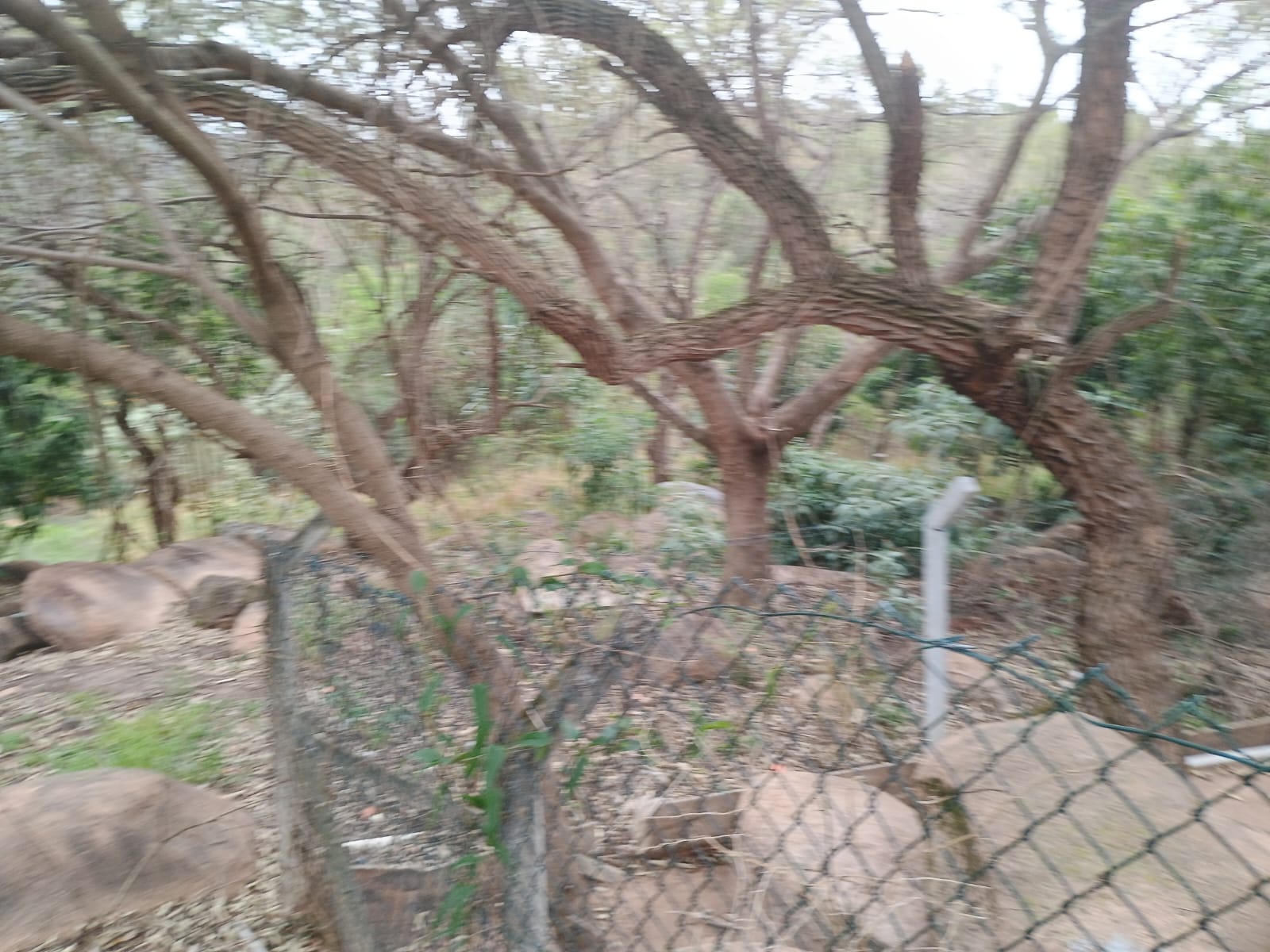 Sobrado 5 dormitórios a Venda no Horizonte Azul 2 em Itupeva-SP