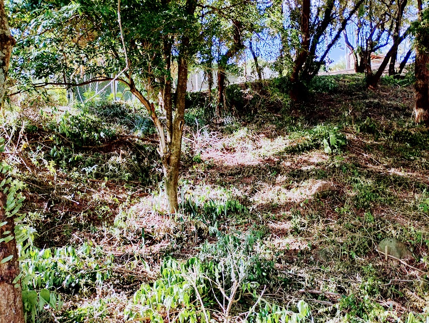 Maravilhoso Lote à Venda no Jardim do Ribeirão 1 em Itupeva-SP