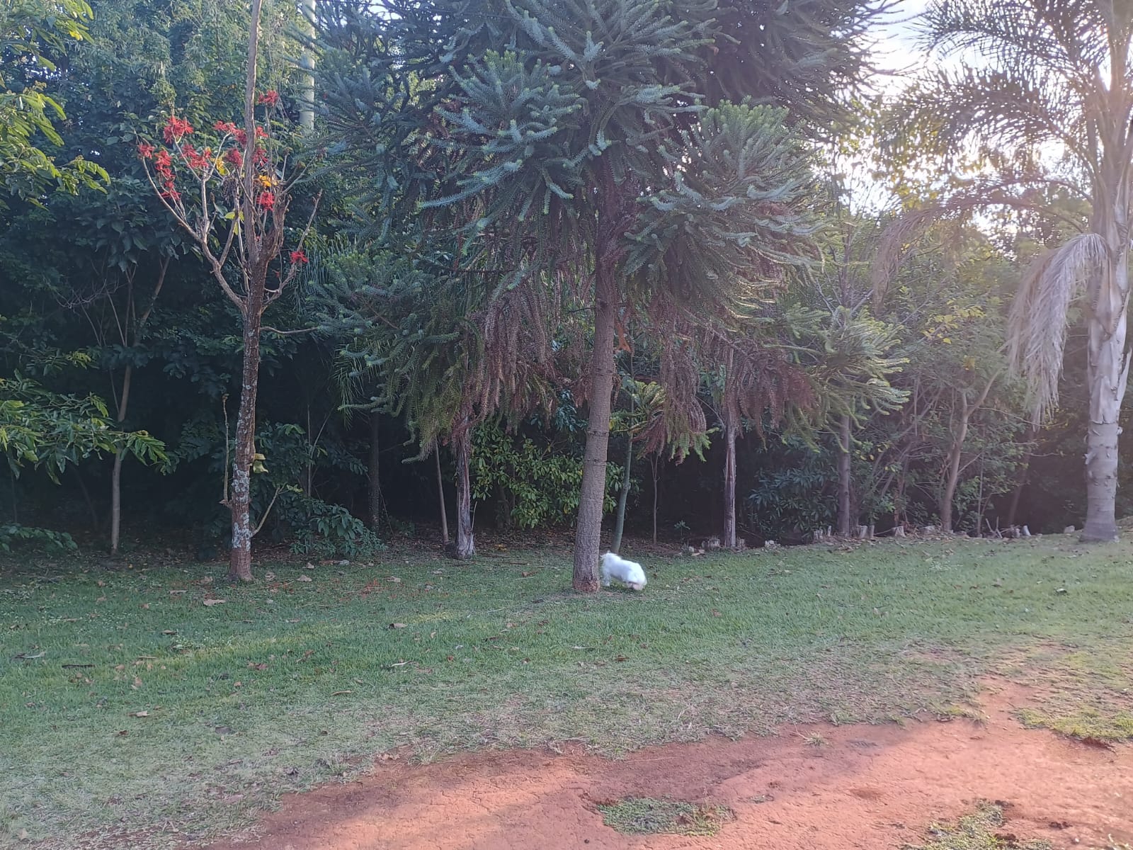 Casa de Campo Estilo Colonial com Vista para o Lago no Cafezal 6 – Itupeva!