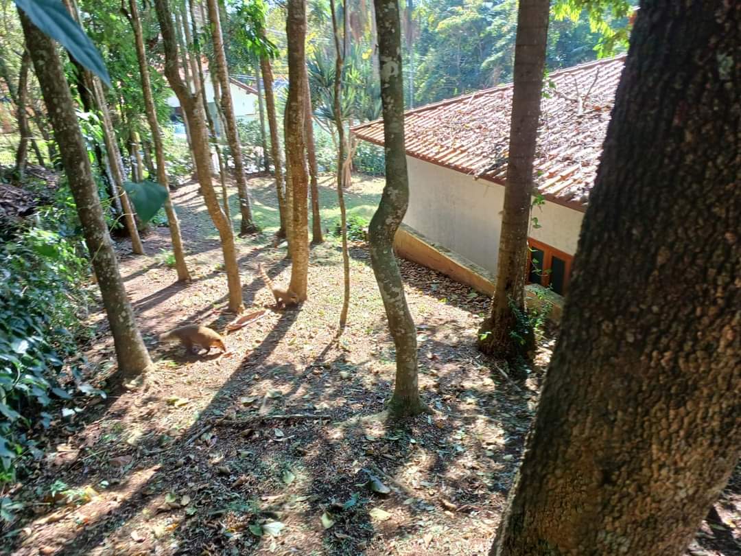 CASA EM CONDOMÍNIO