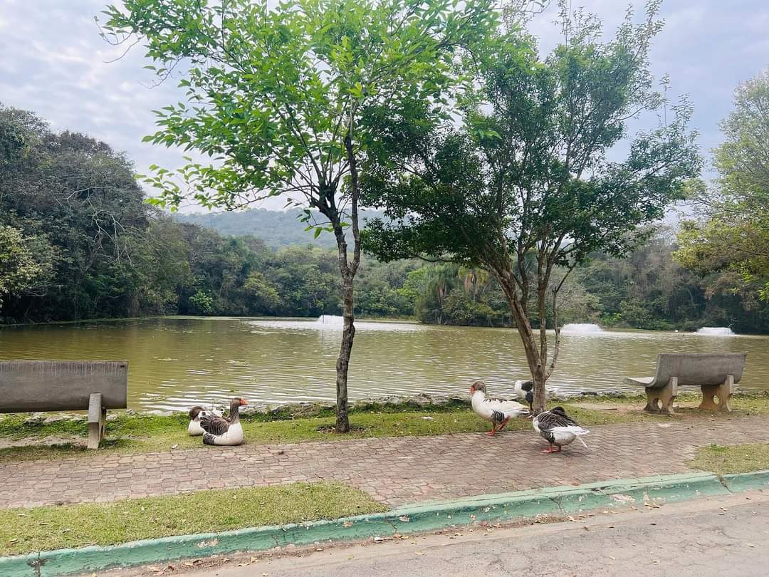 CASA EM CONDOMÍNIO