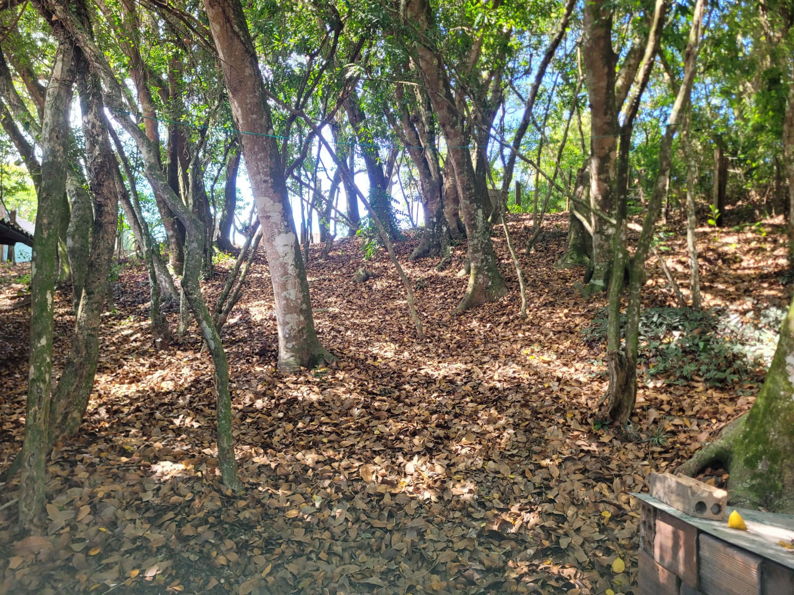 Casa Próxima a Praia