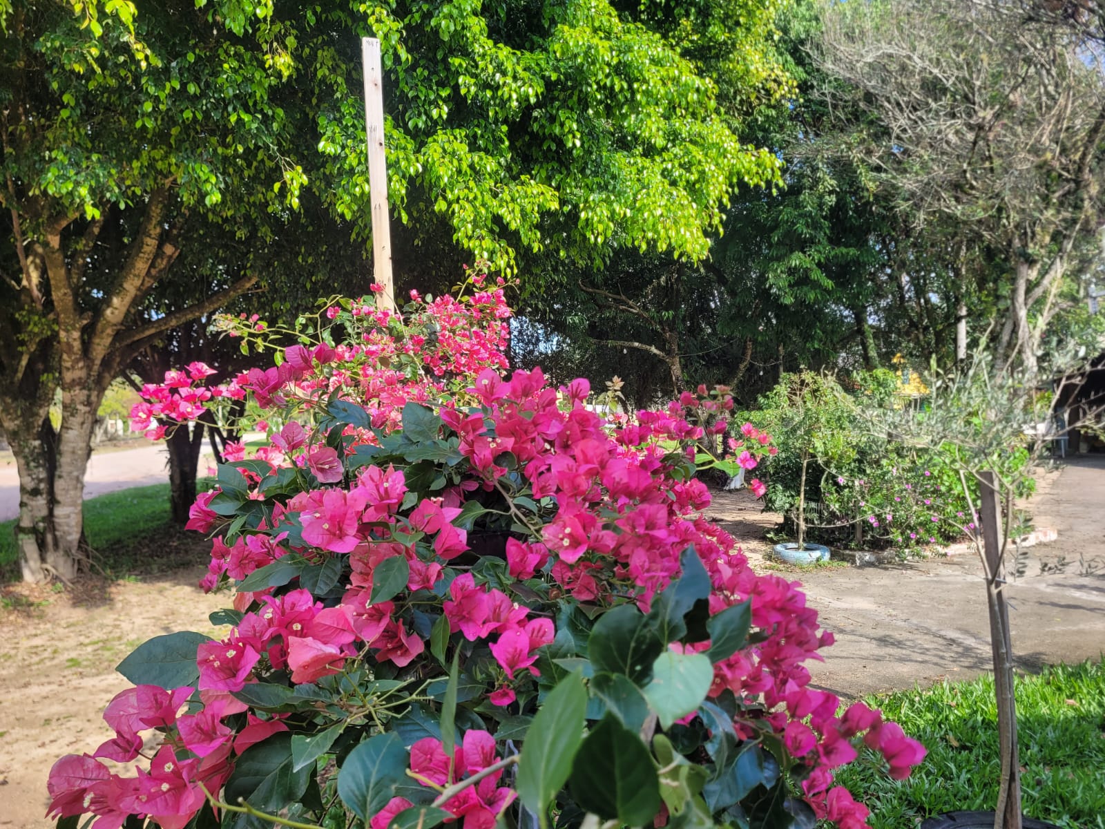 Terreno de esquina proximo a Praia